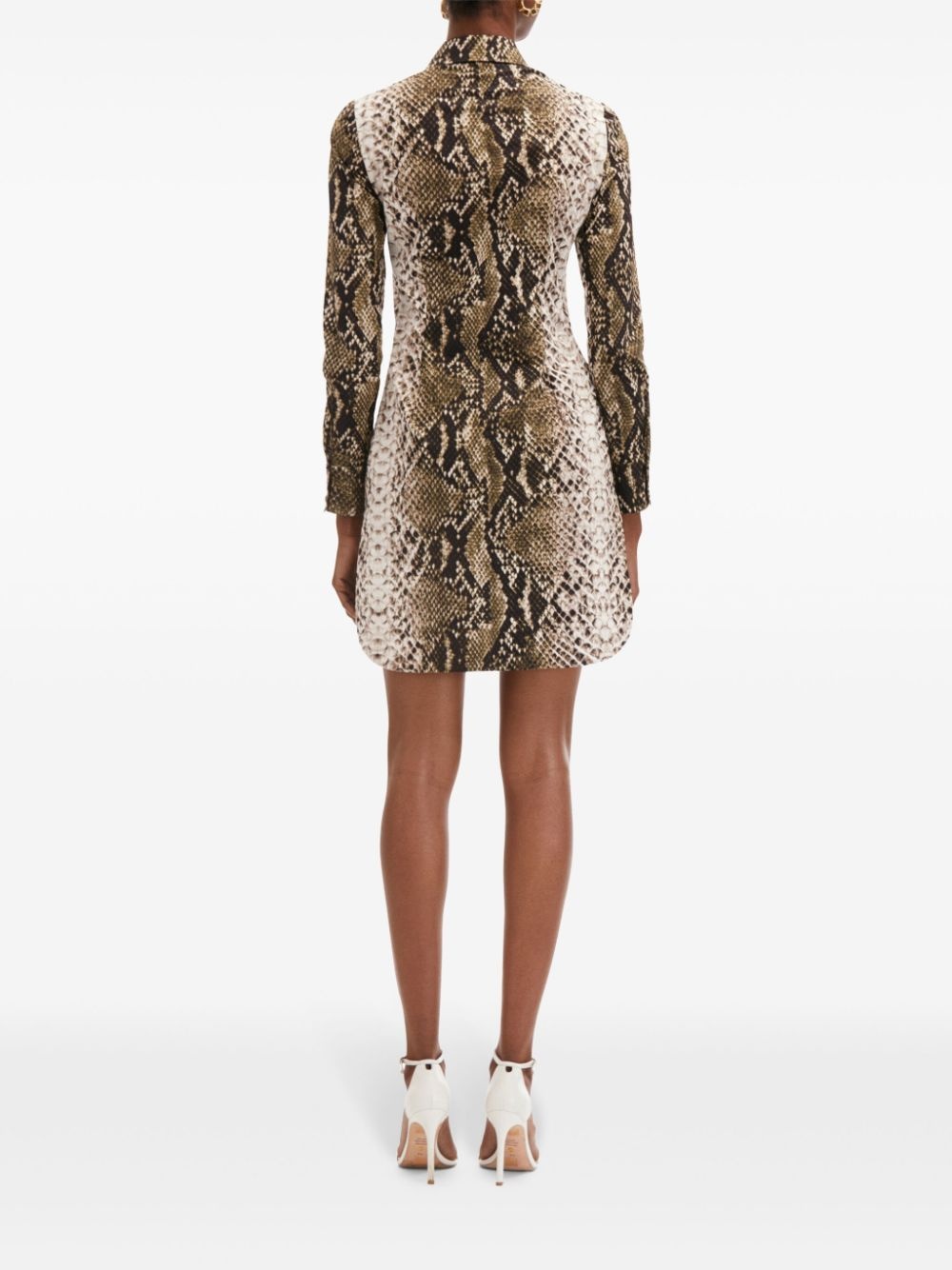 snake-print mini shirt dress - 4