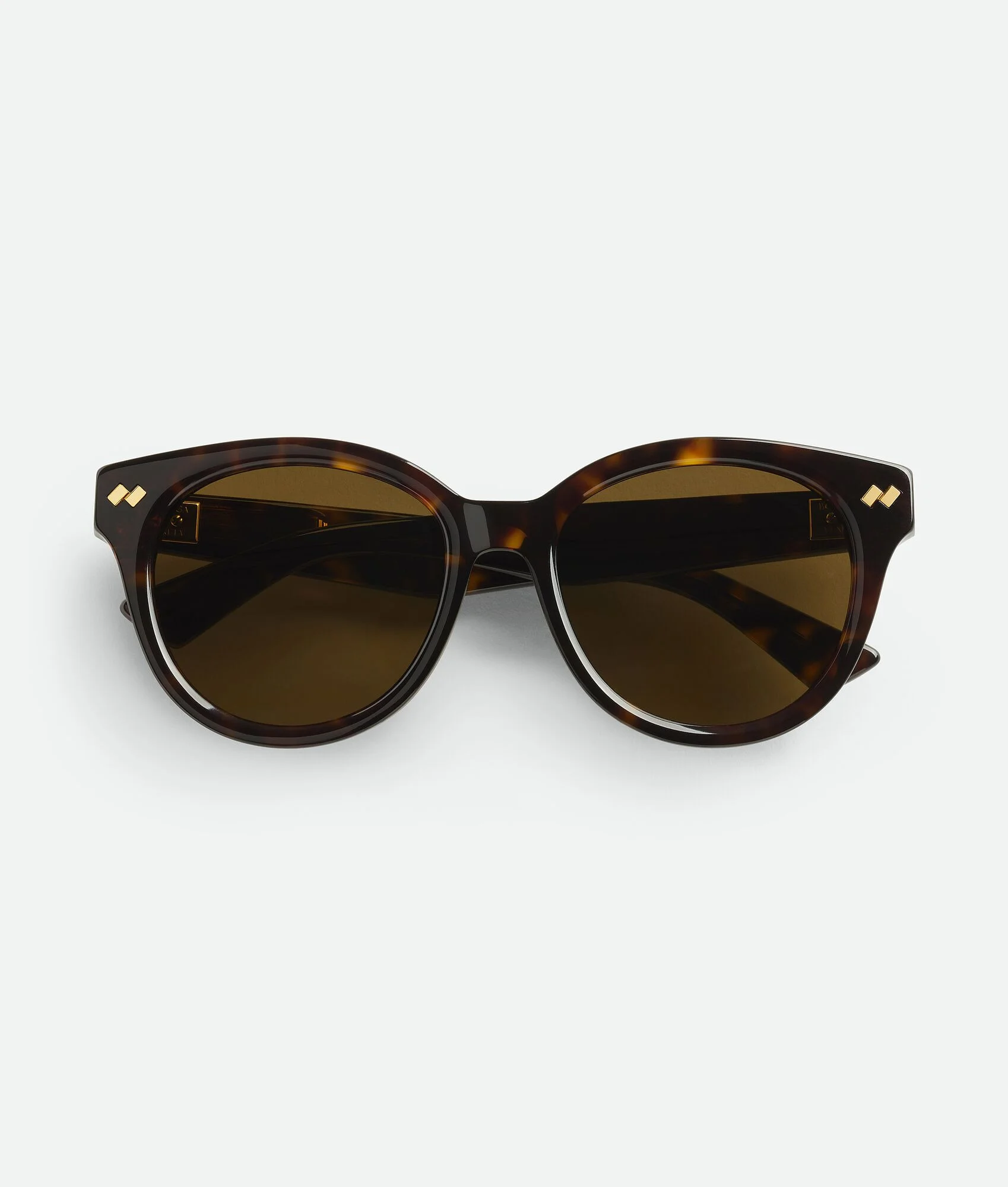 BV1352S Dizzy Round Sunglasses - 1