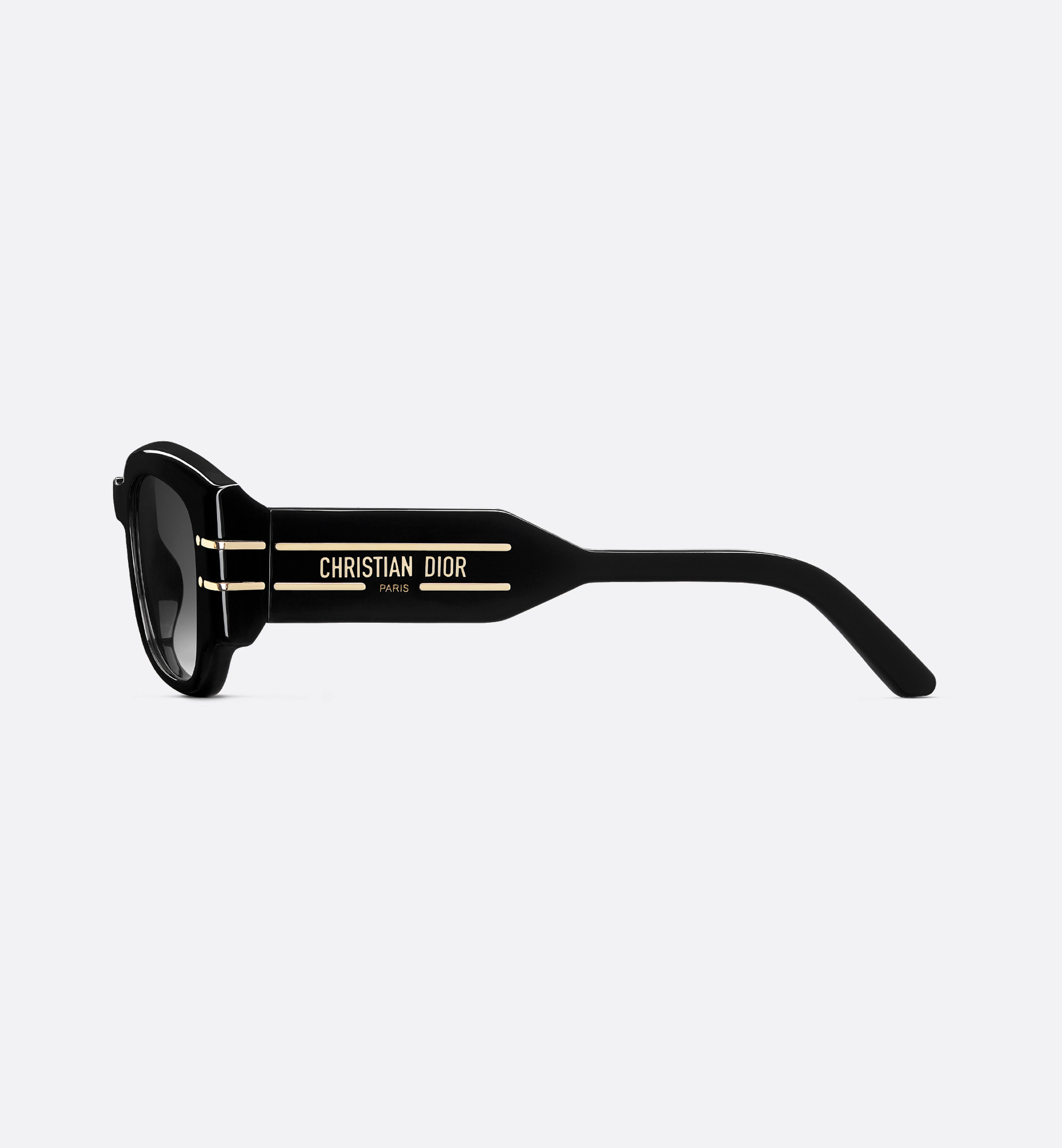 DiorSignature S13I - 5