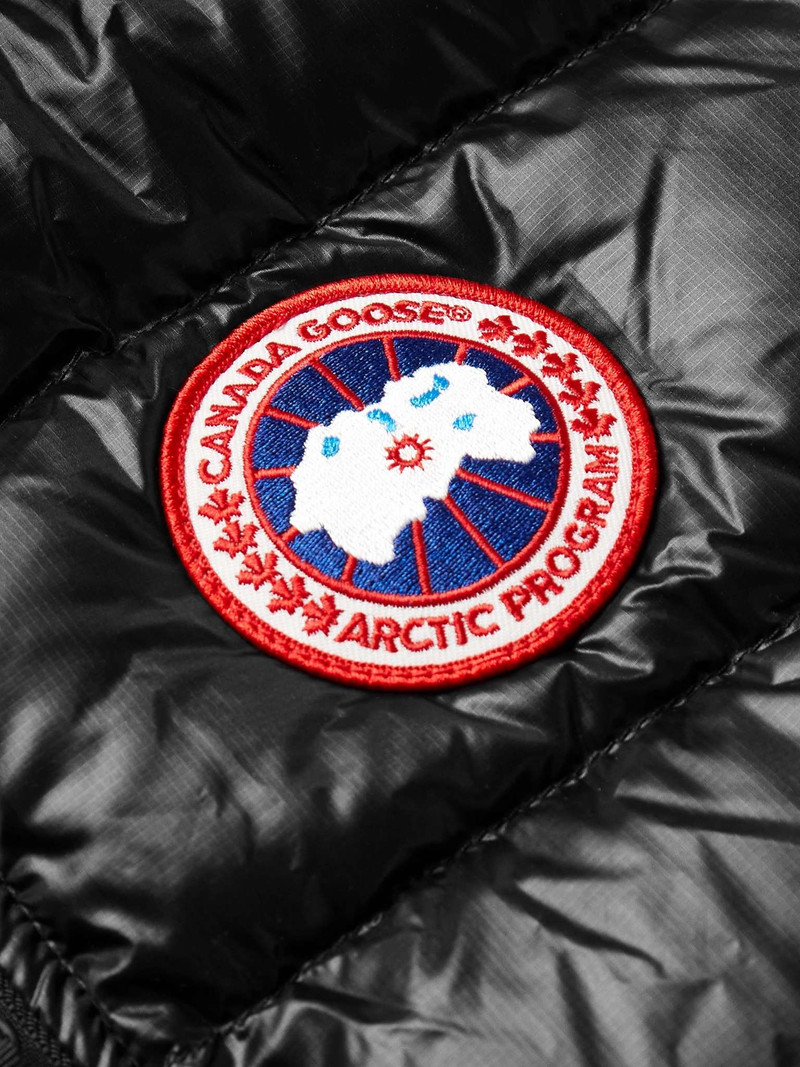 Crofton Slim-Fit Quilted Recycled Nylon-Ripstop Down Gilet 3
