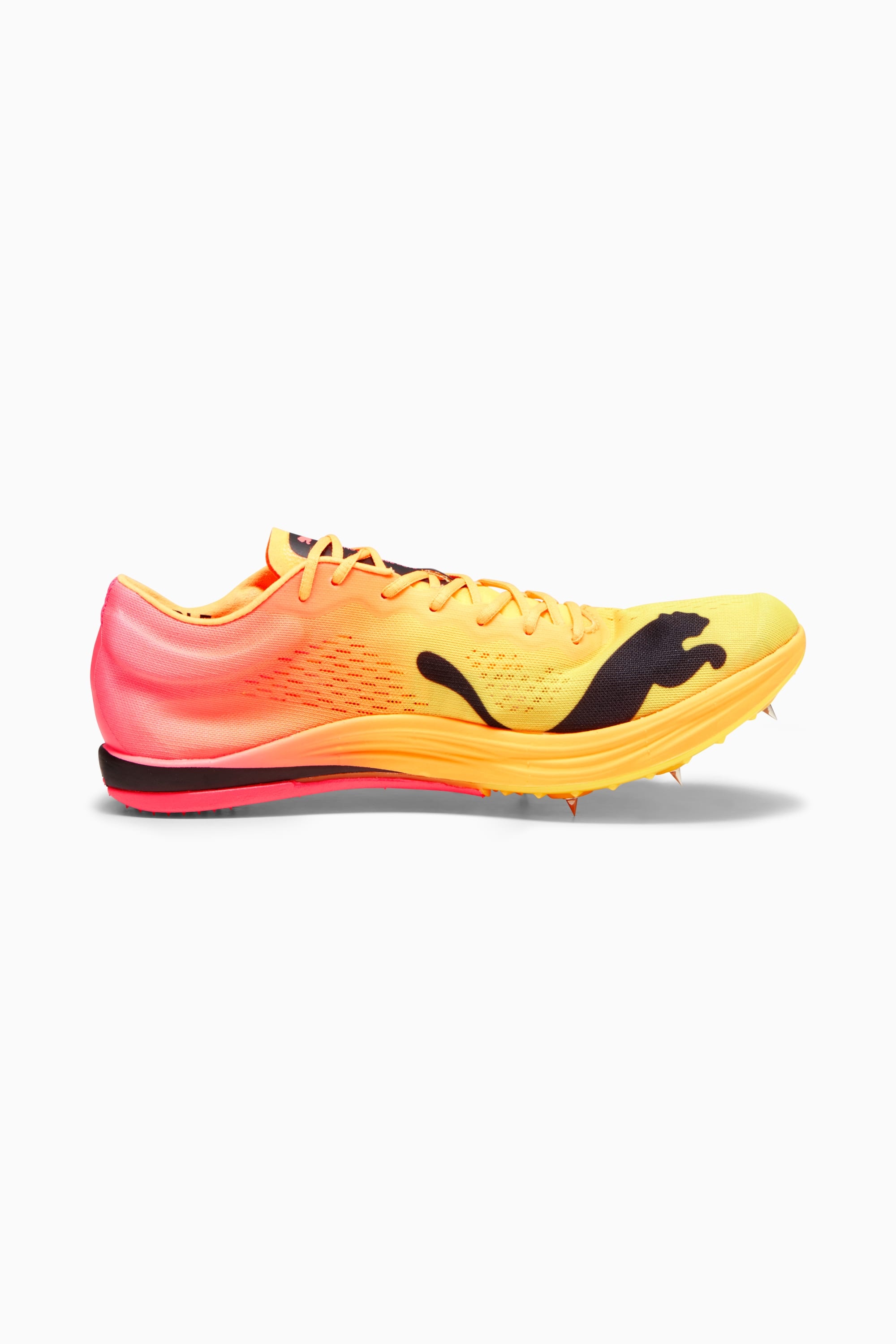 evoSPEED Long Distance NITRO™ Elite+ Track Spikes - 8