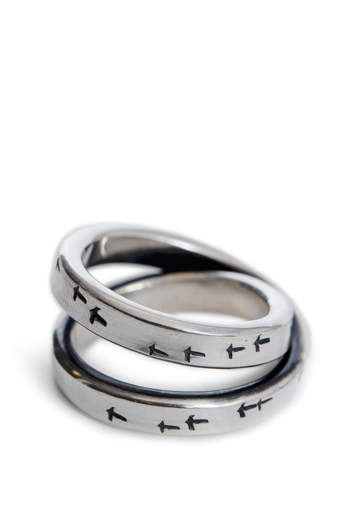 Cross-Ring-Bird-Flight - 3