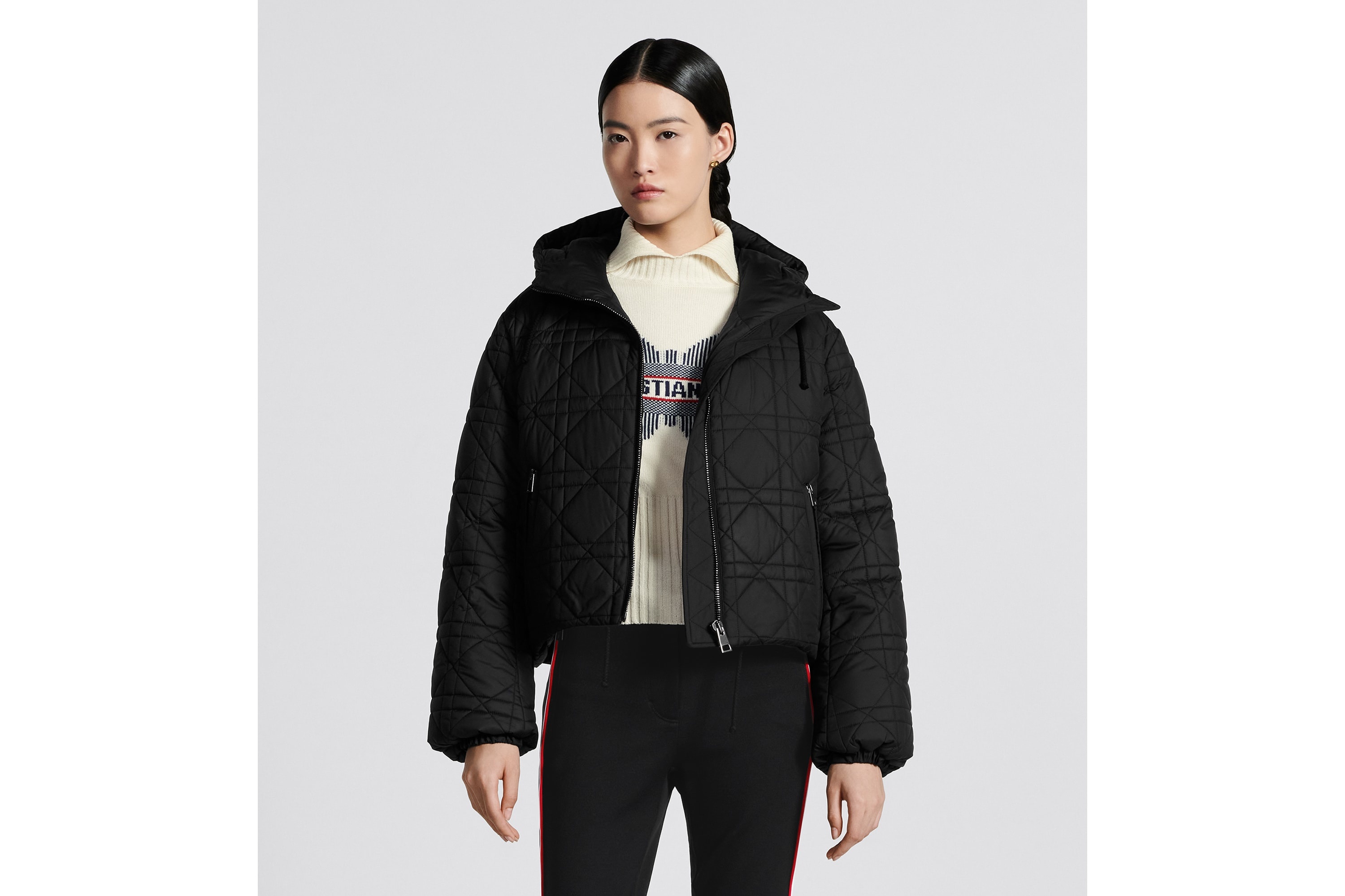 DiorAlps Macrocannage Hooded Cropped Puffer Jacket - 2