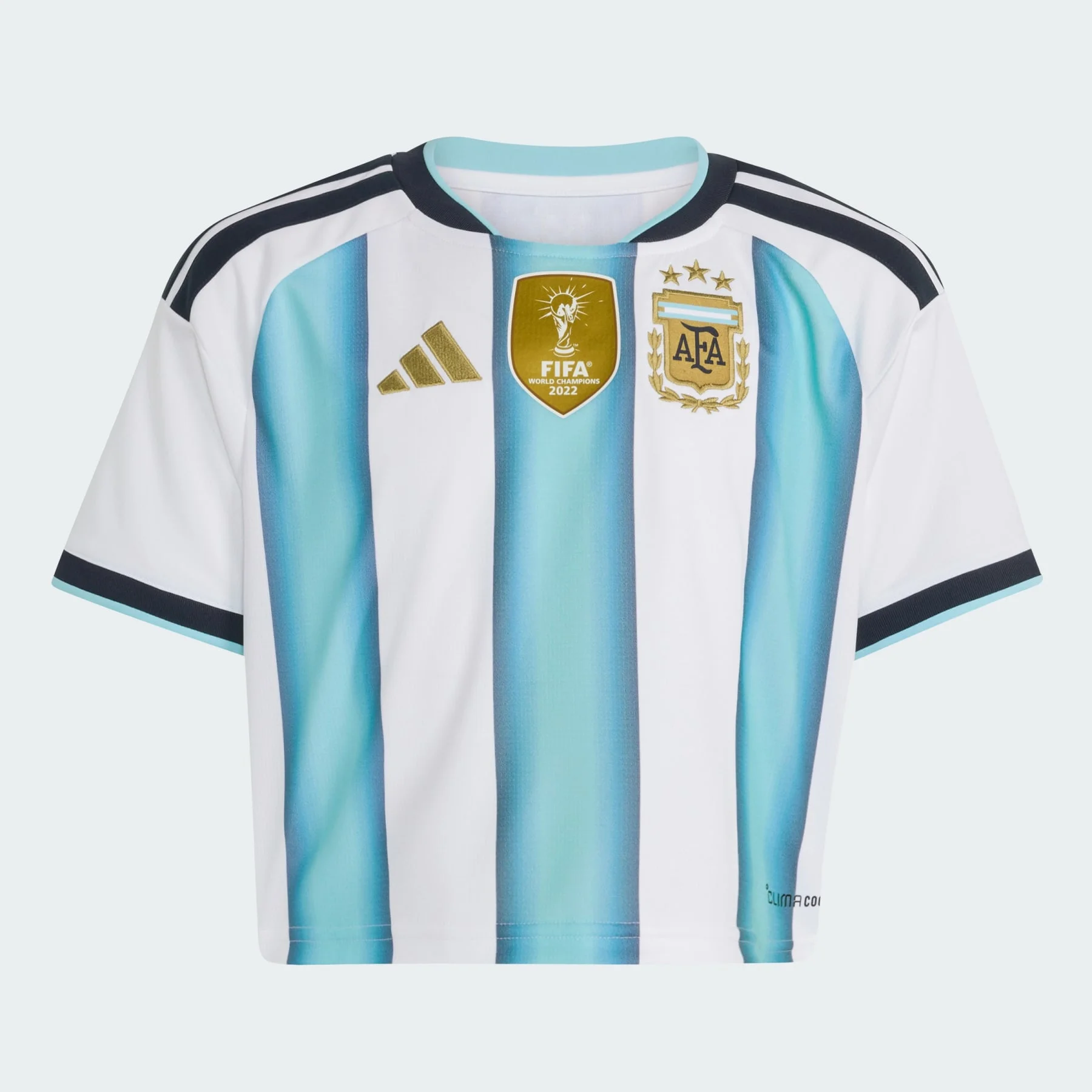 Argentina 26 Home Cropped Jersey - 1