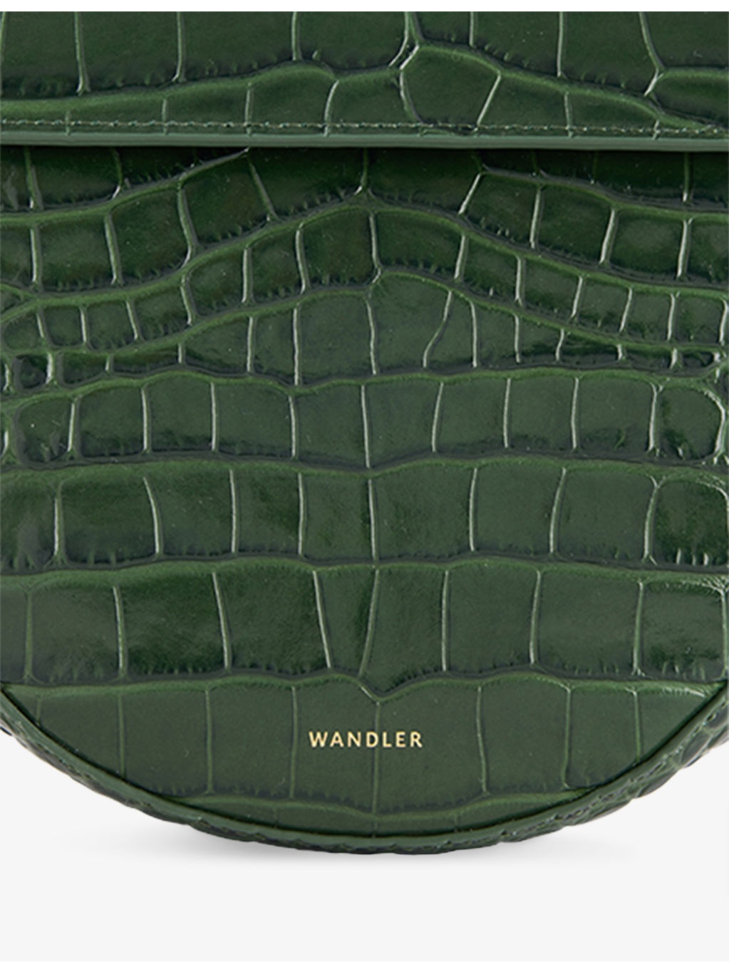 Hortensia Mini Crocodile-Effect Leather Shoulder Bag - 4