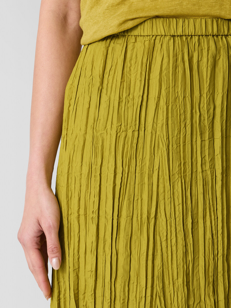 Crushed Silk Flared Skirt 5