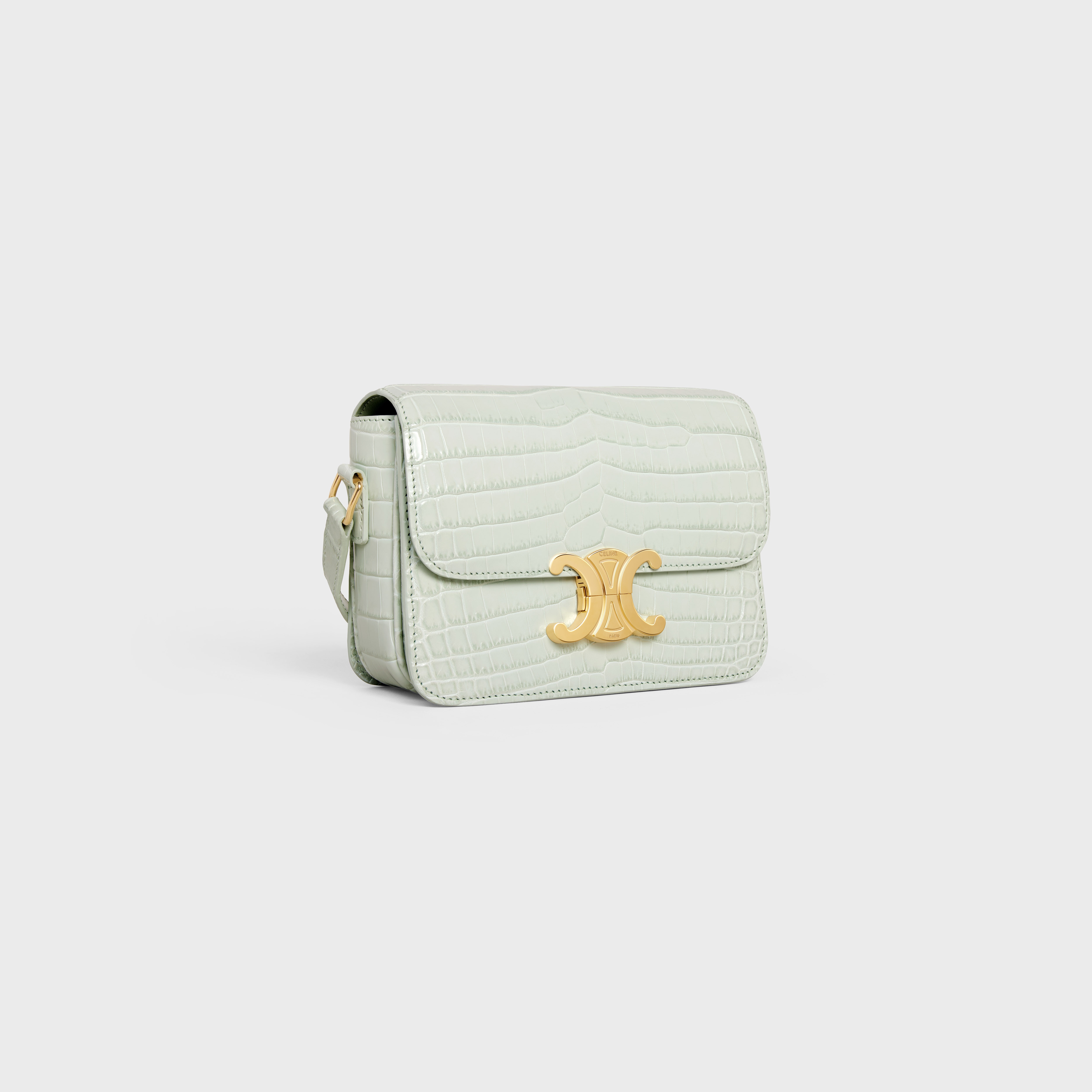Teen Triomphe Bag in Crocodile - 2