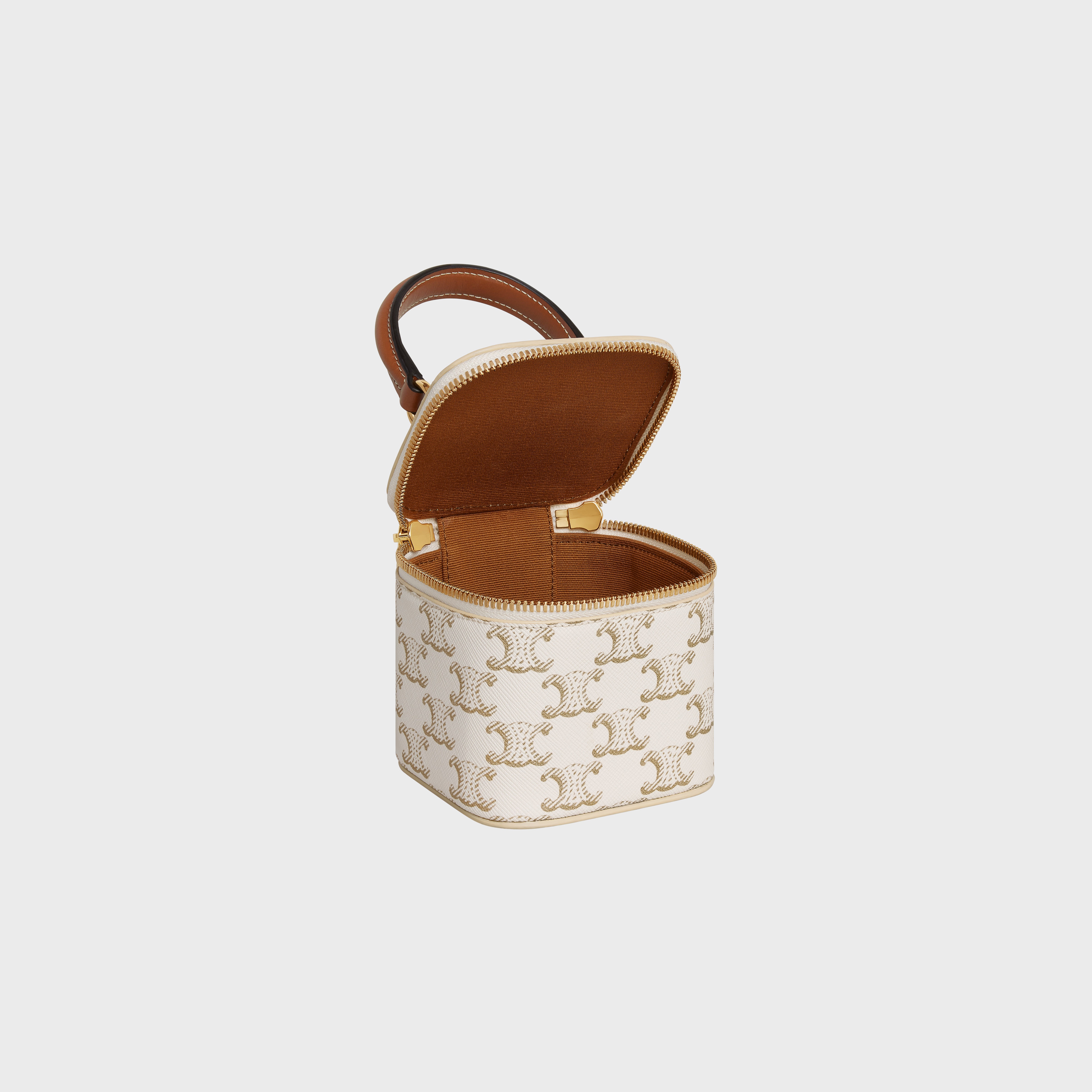 mini vanity case in triomphe canvas and calfskin