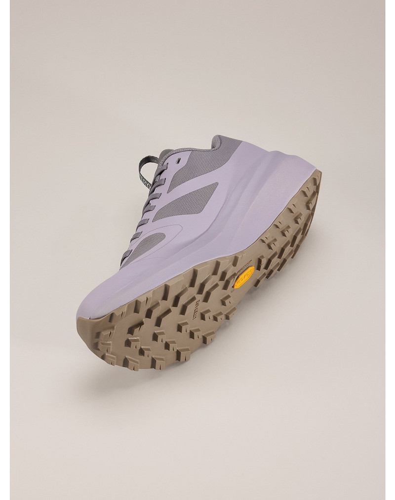 Norvan LD 3 GTX Shoe 5