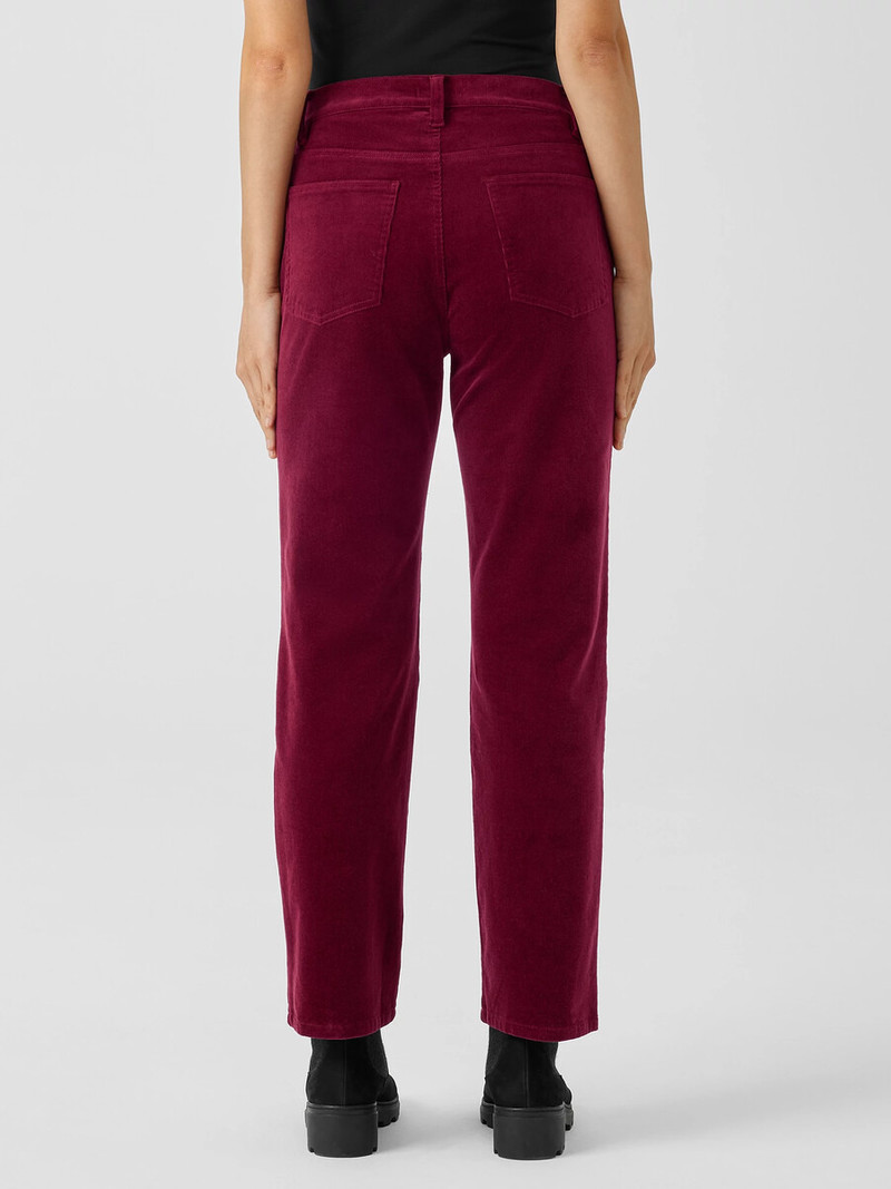 Organic Cotton Stretch Corduroy Straight Pant 4