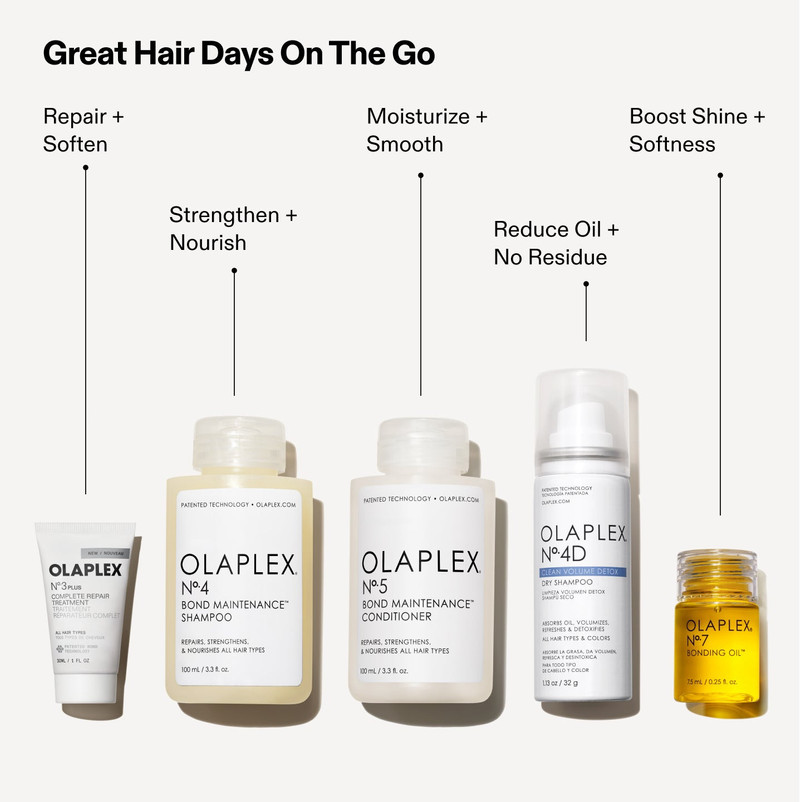 THE HEALTHY HAIR TRAVEL SET 11