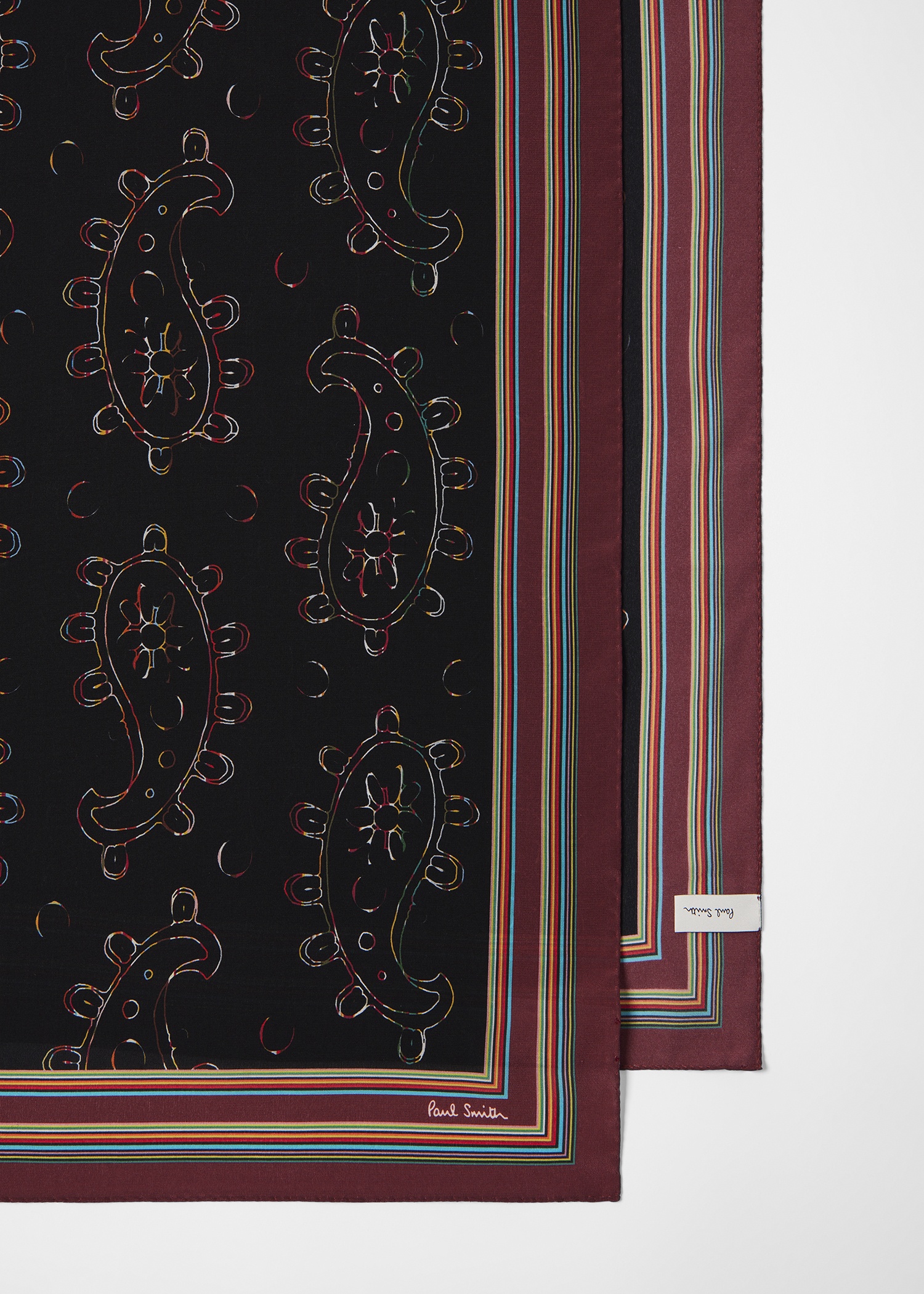 Women's Black 'Signature Stripe' Paisley Print Scarf - 4