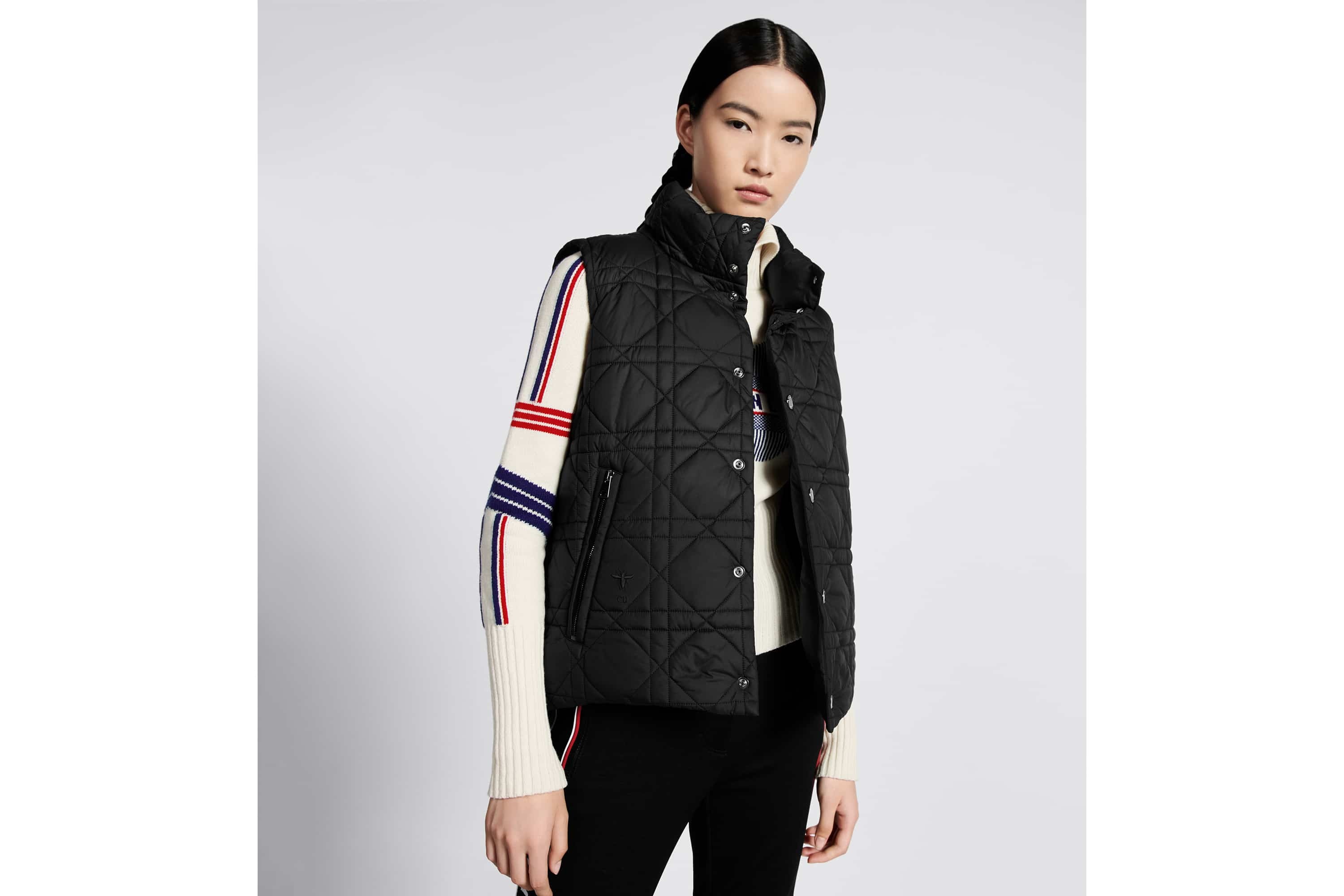 DiorAlps Puffer Vest - 5