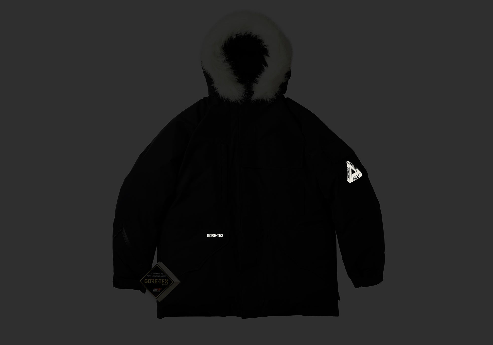 GORE-TEX DOWN PARKA BLACK - 2