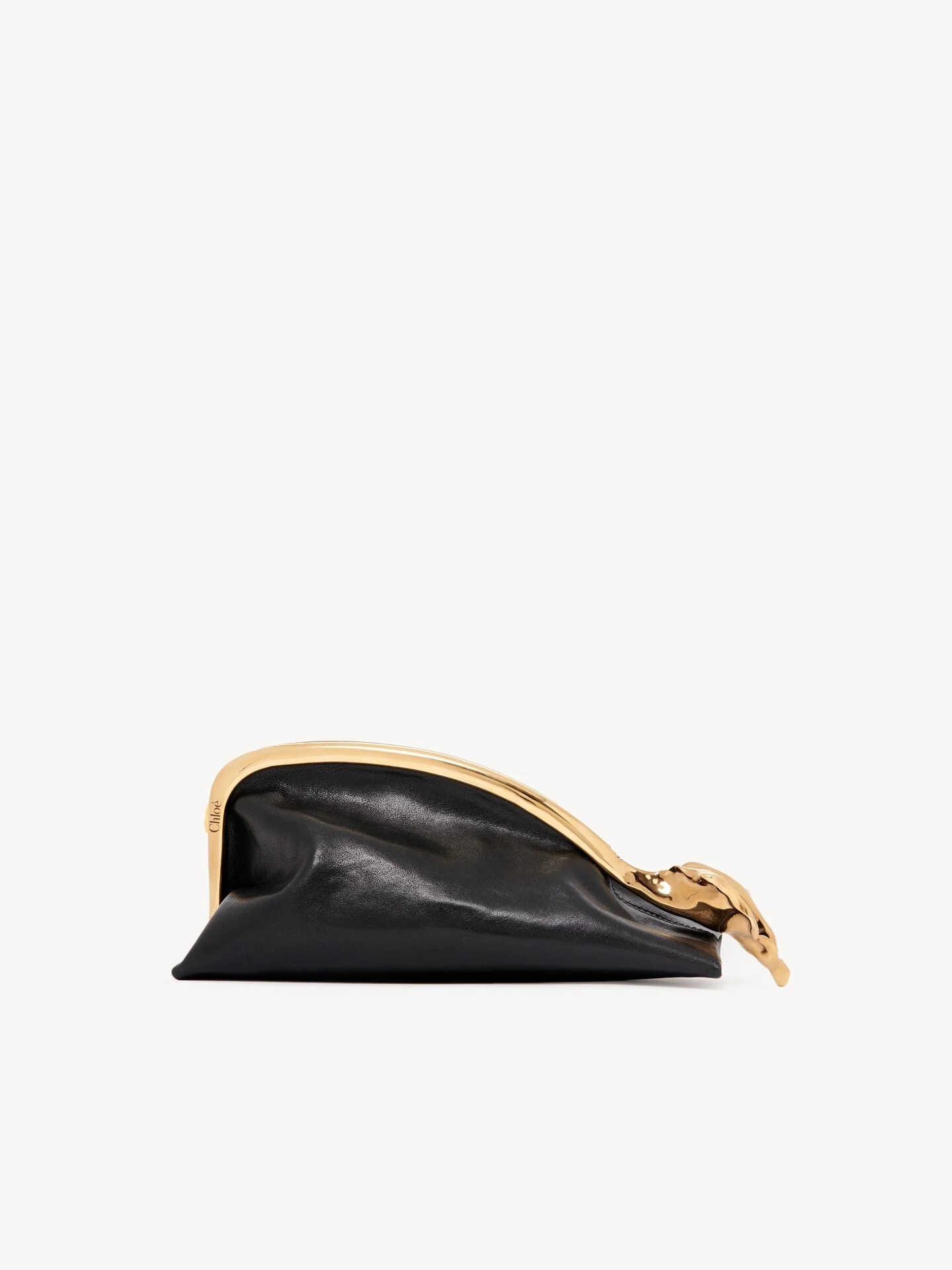 SMALL EDEN TREASURES CLUTCH IN LEATHER - 1