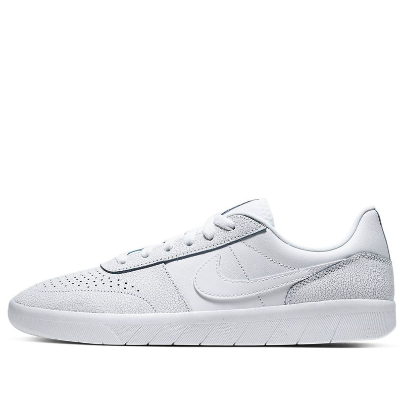 Nike SB Skateboard Team CLASSIC PREMIUM White AR0767-100 - 1