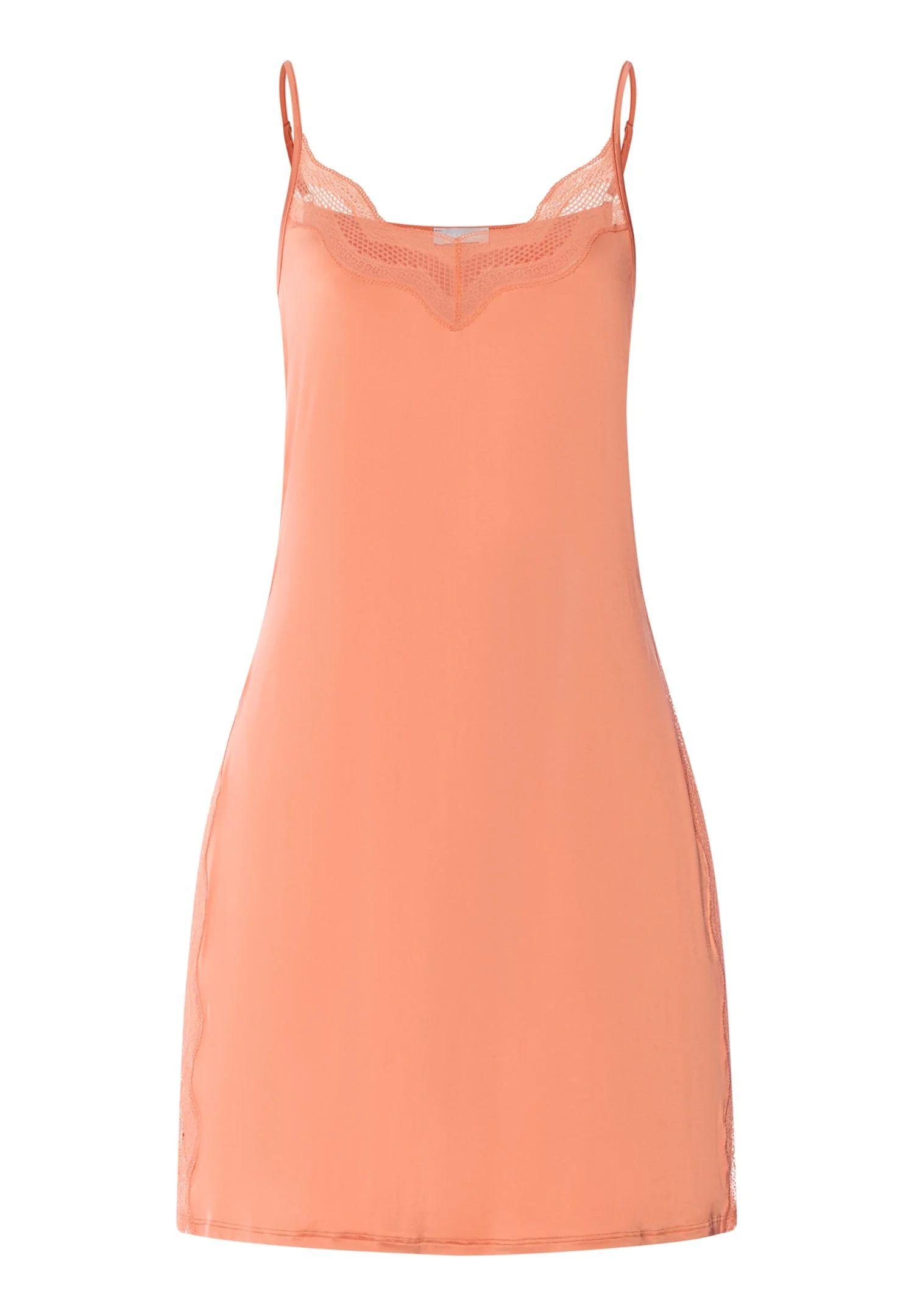 Cira Scalloped Lace Bodydress - 1