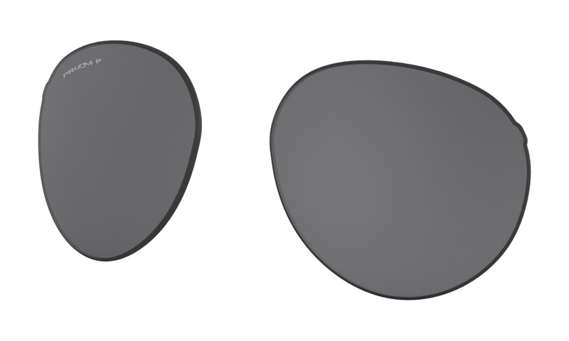 Forager (Low Bridge Fit) Replacement Lens 1