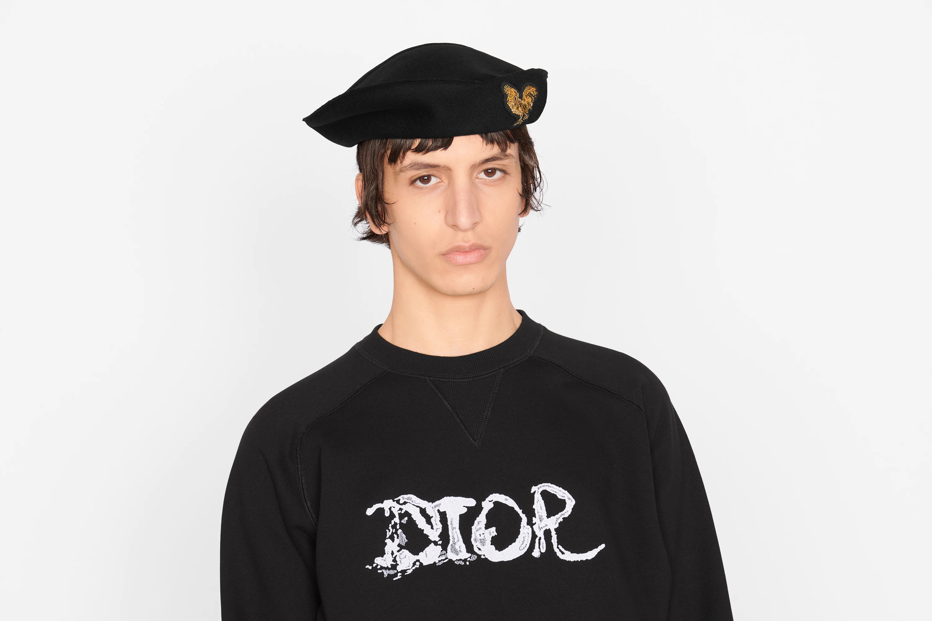 DIOR AND PETER DOIG Sweatshirt - 4