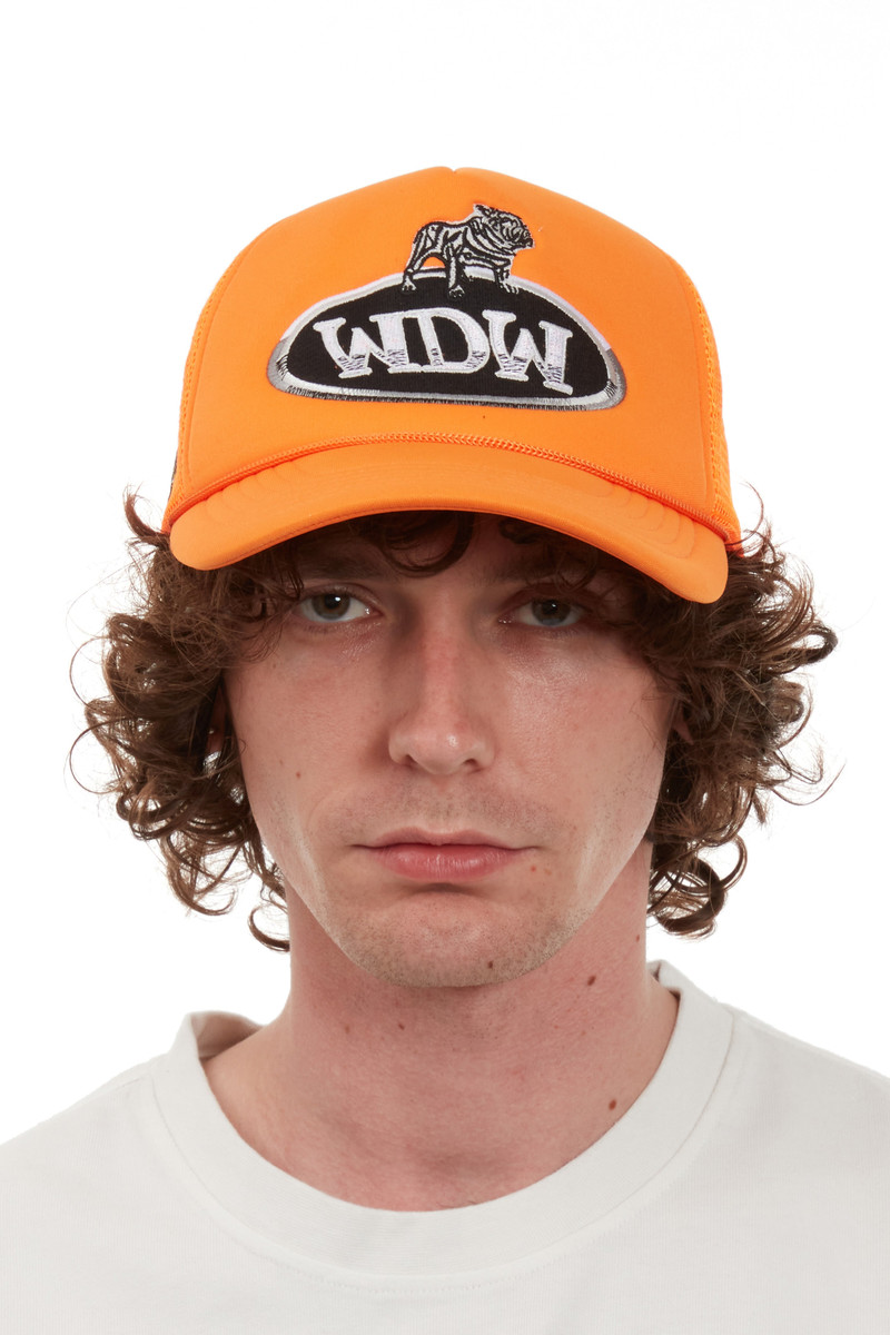 WHO DECIDES WAR DALE TRUCKER outlook