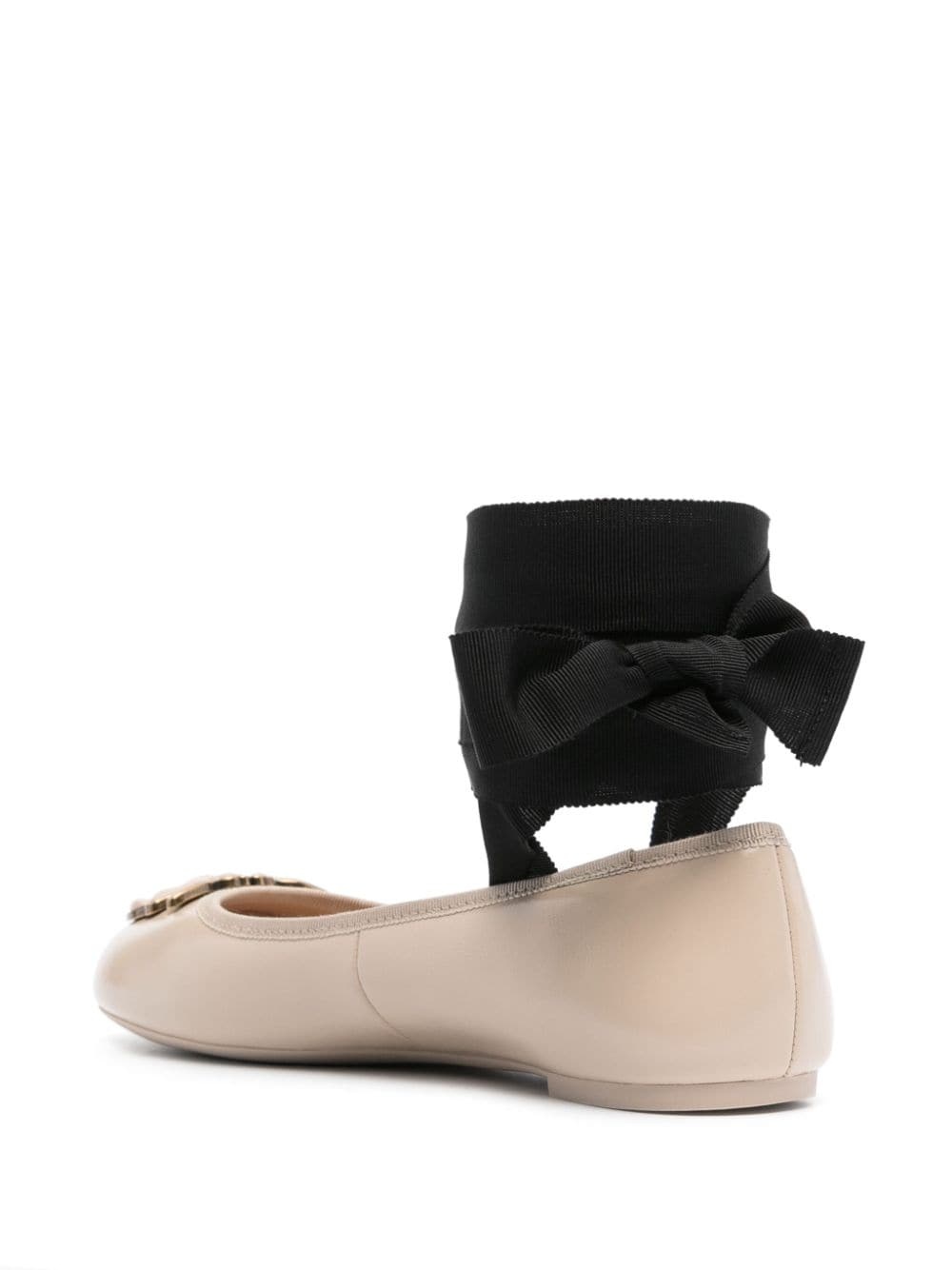 Love Birds ballerina shoes - 3