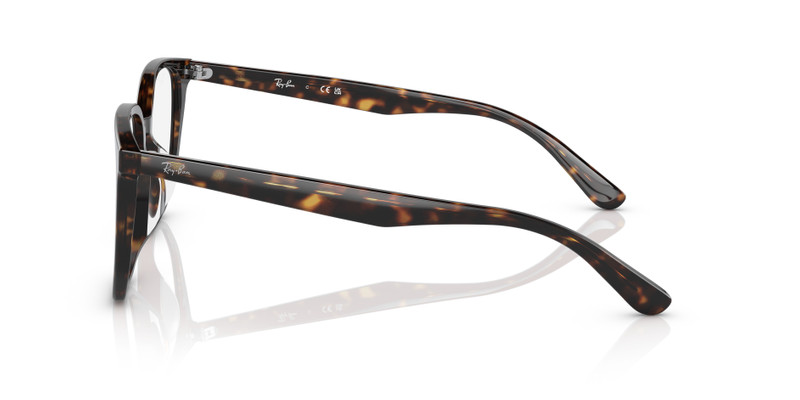RB5411 OPTICS 5