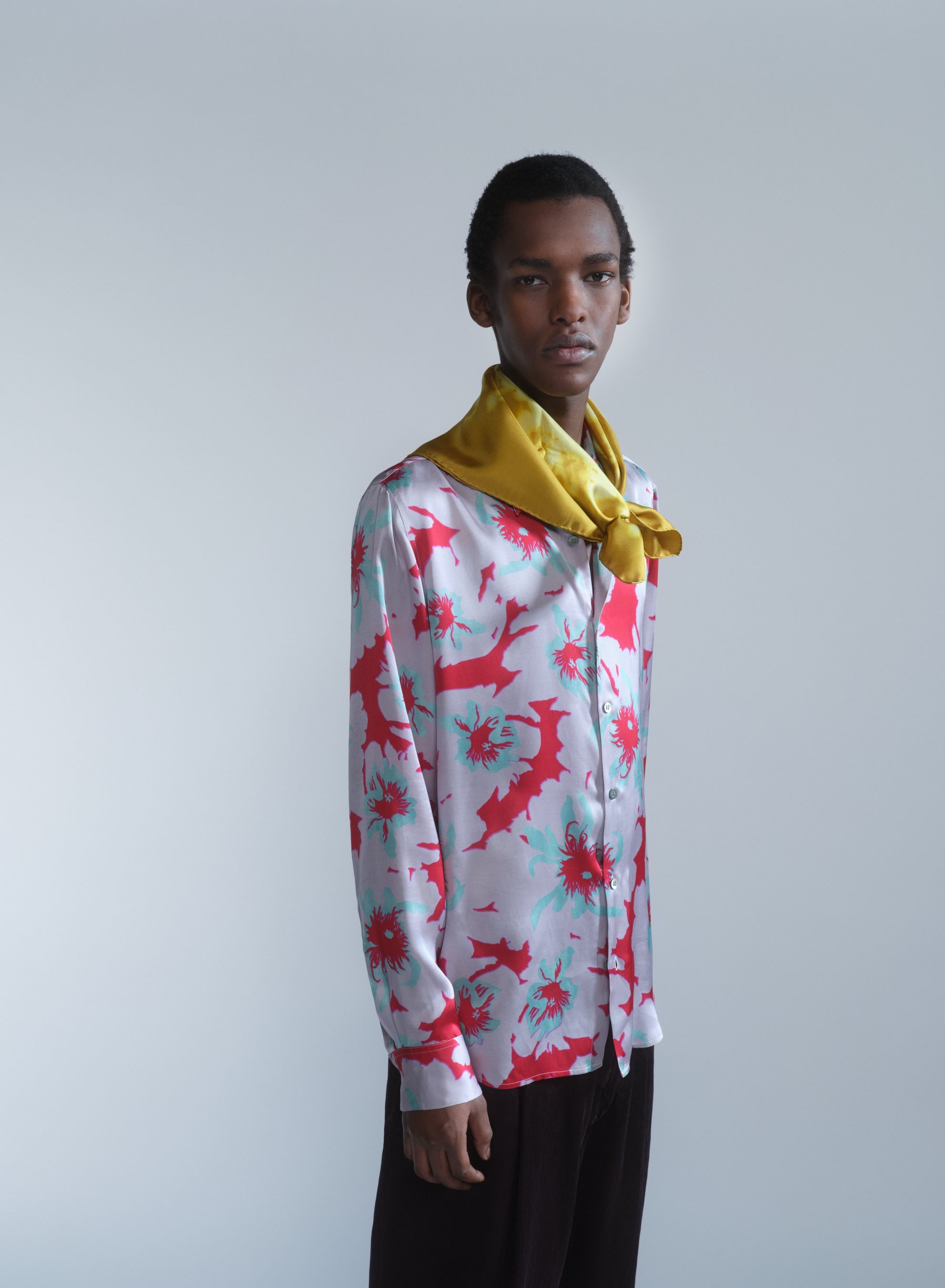 PRINTED SILK SCARF - 2