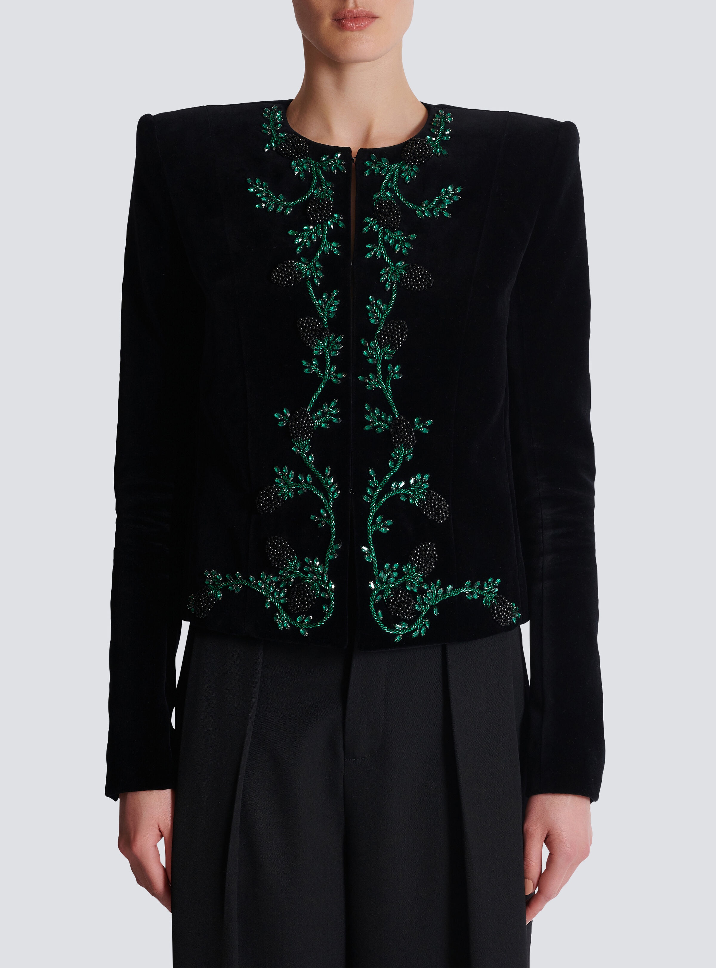 Blackberry embroidered velvet jacket - 5