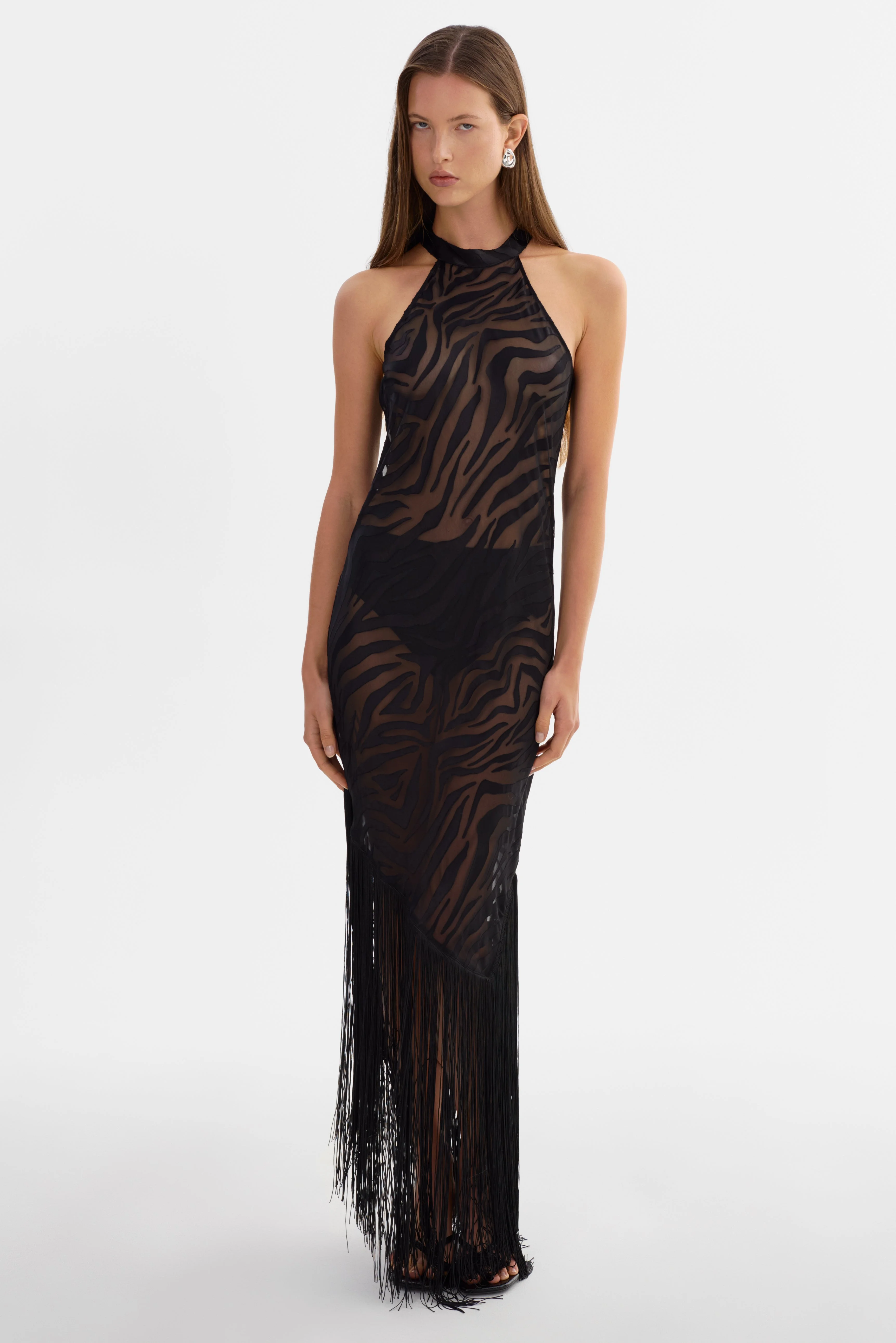 JENNINE | Sheer Zebra Dress - 1