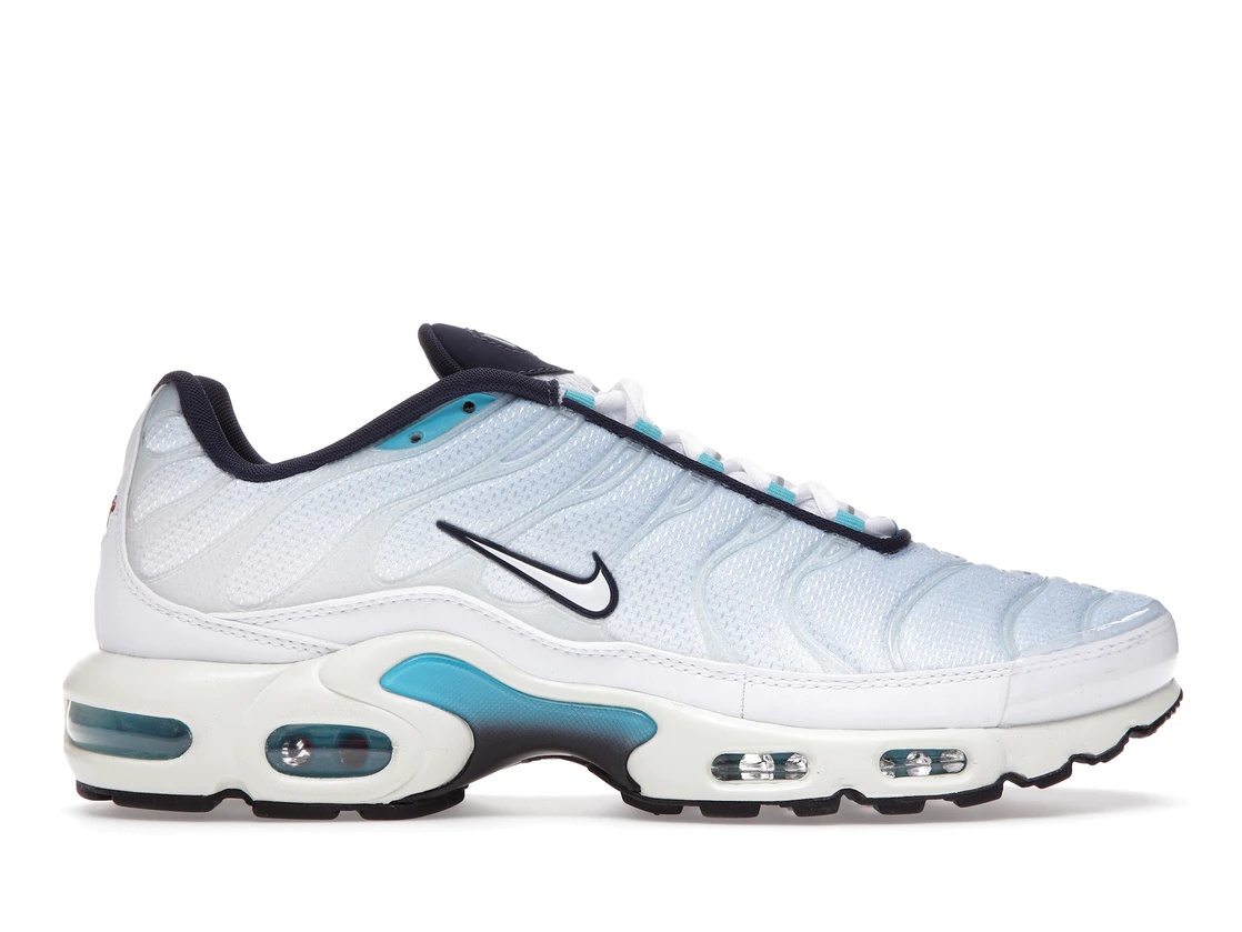 Nike Air Max Plus Psychic Blue White - 1