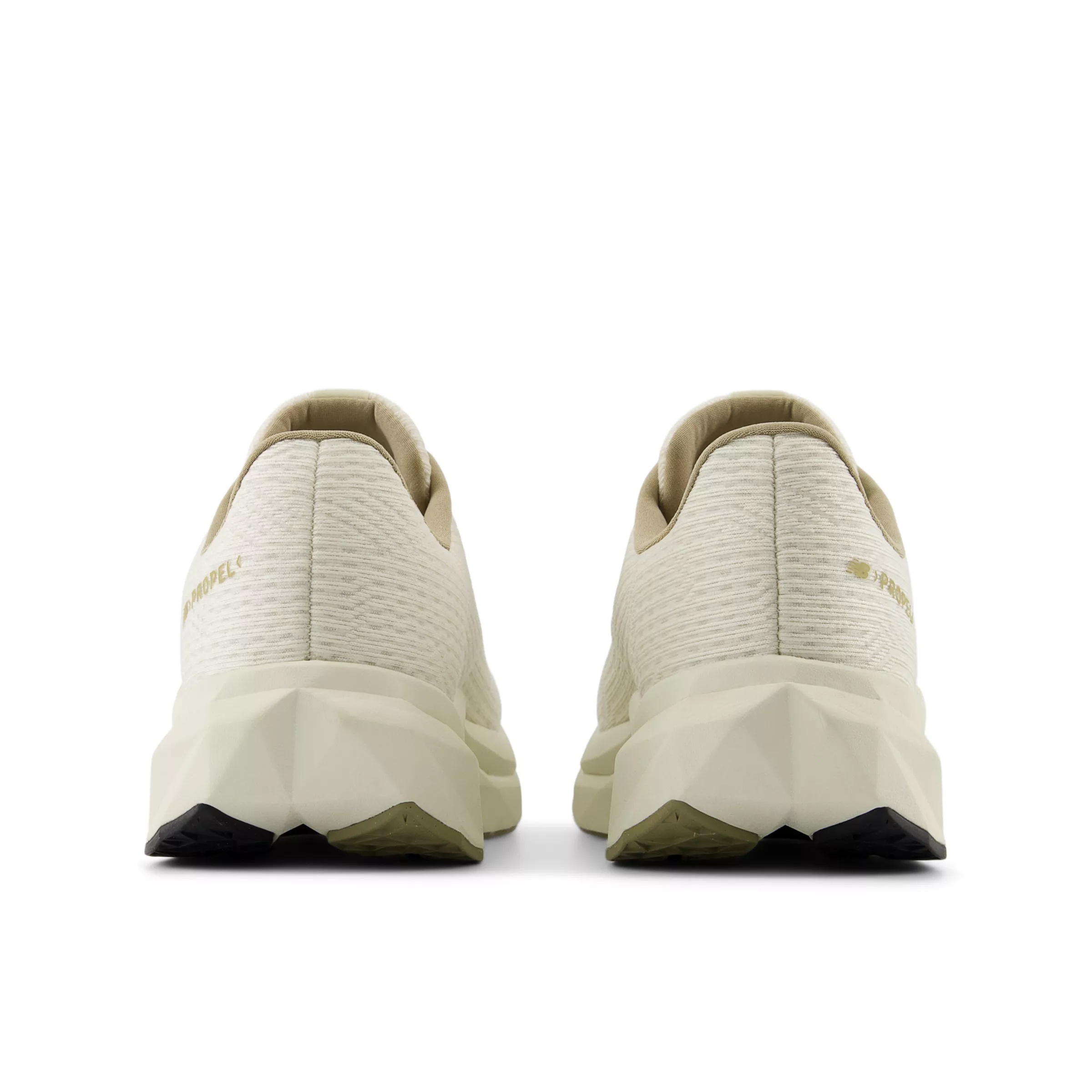 FuelCell Propel v5 - 5