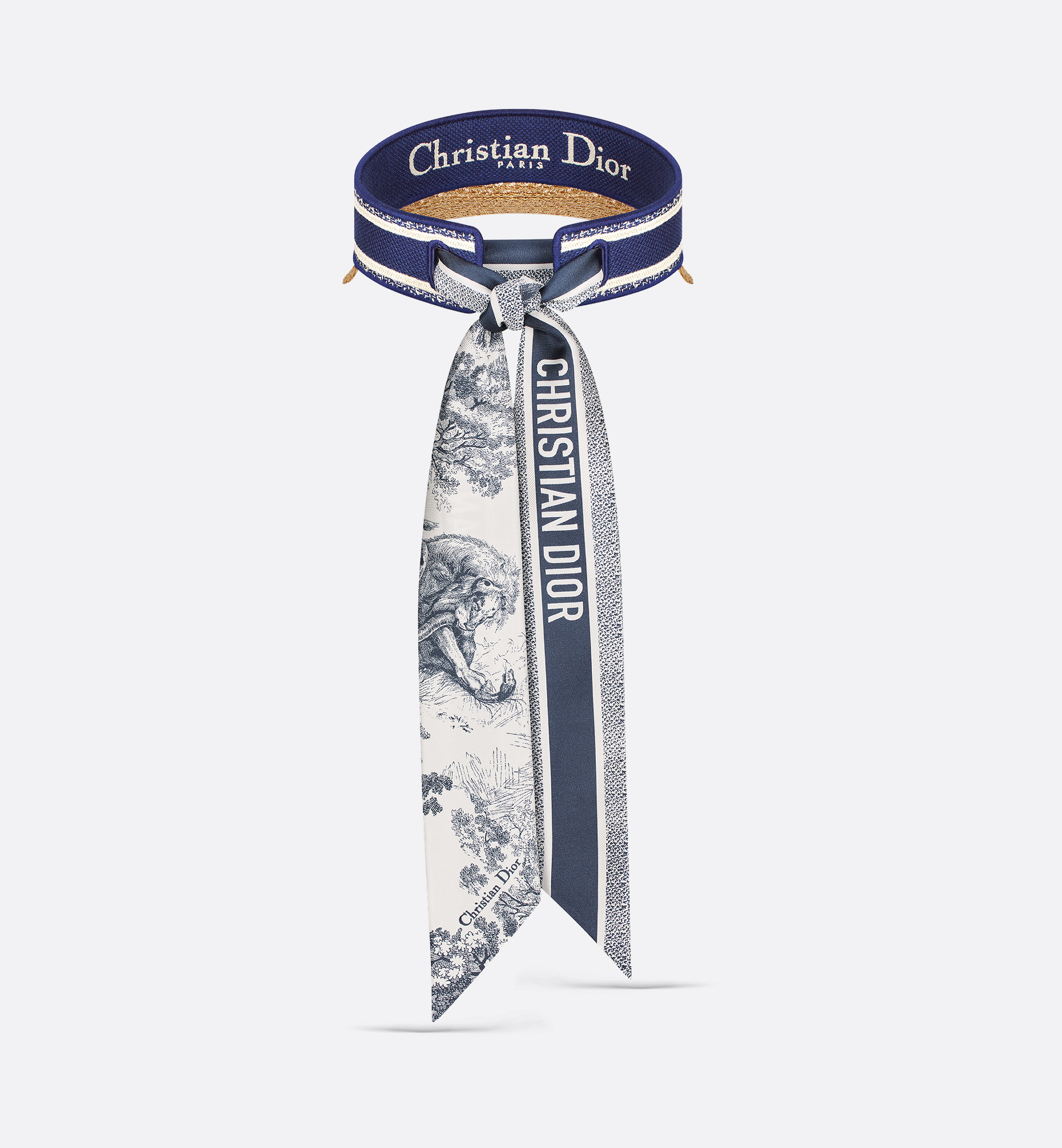 D-Ocean Visor with Mitzah - 5