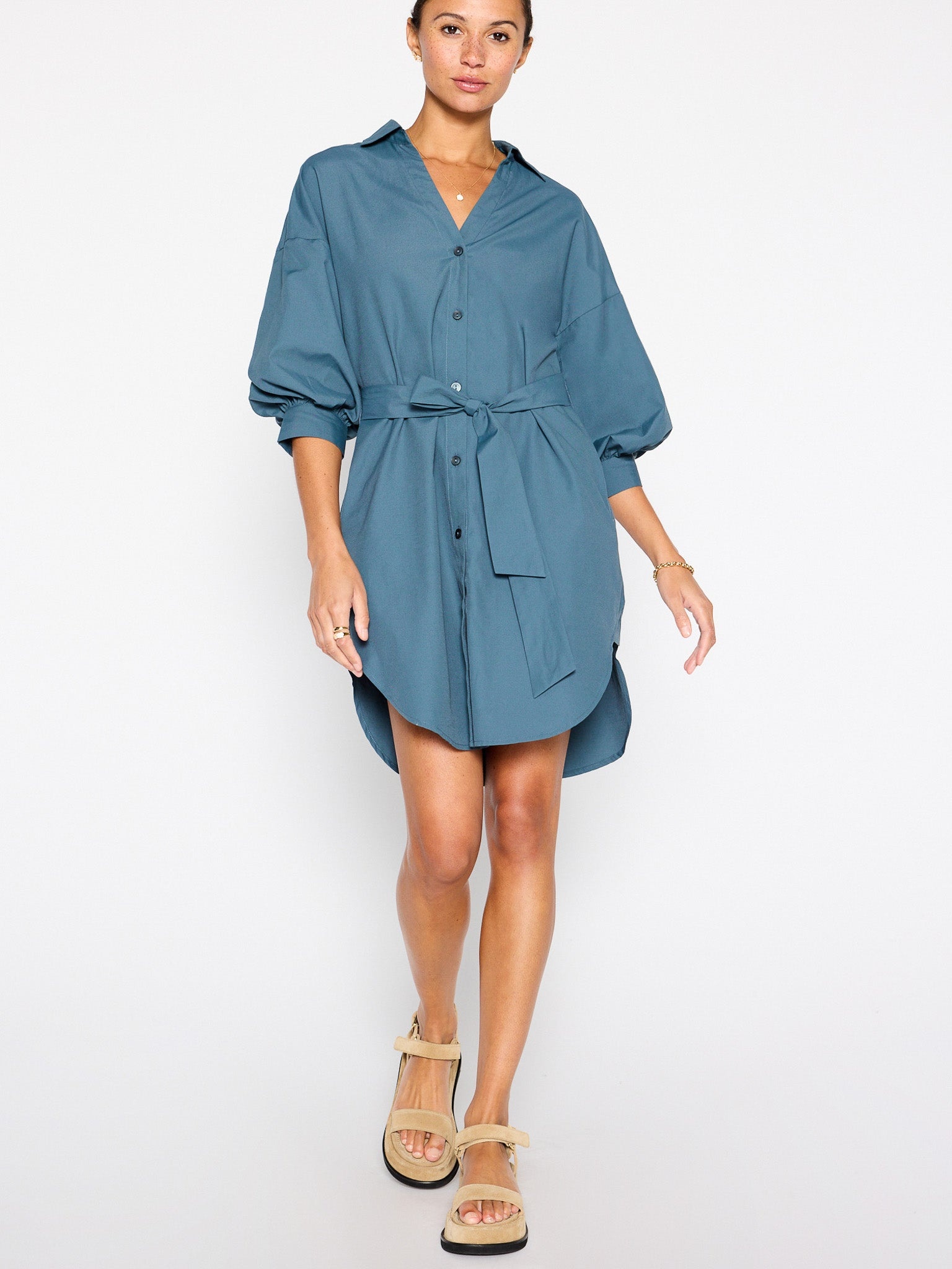 The Kate Belted Dress - 7