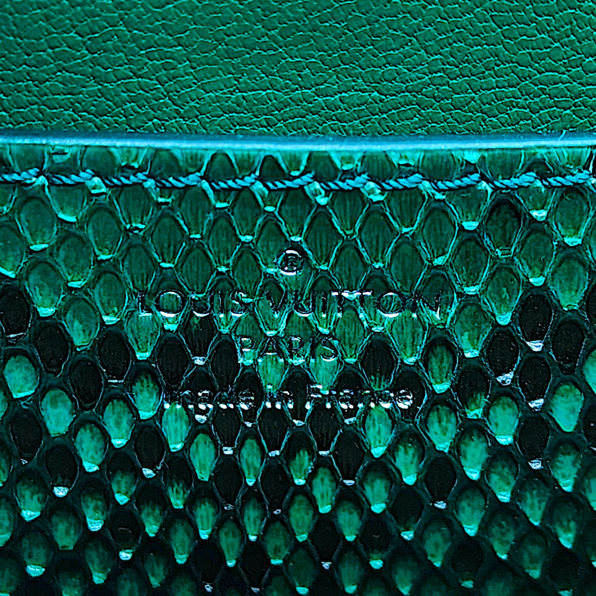 Louis Vuitton Twist MM Green Python - 13