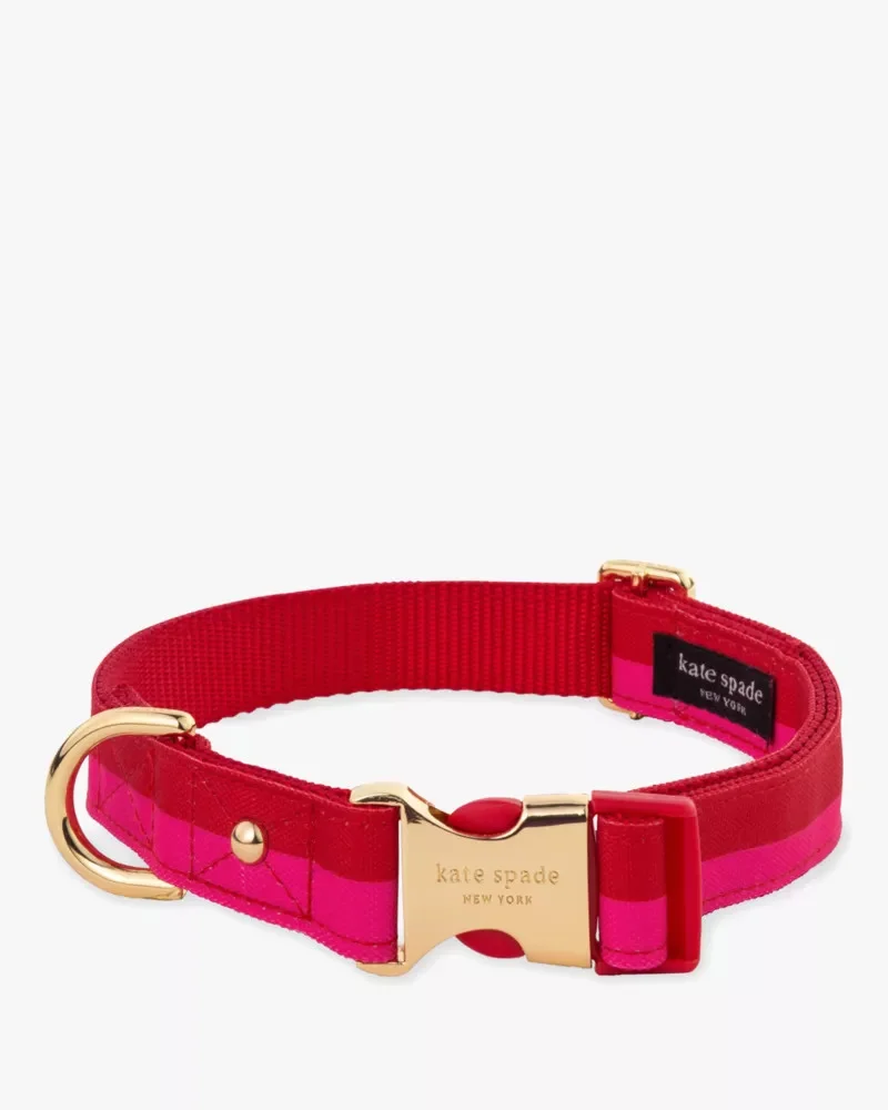 Colorblock Collar - 1