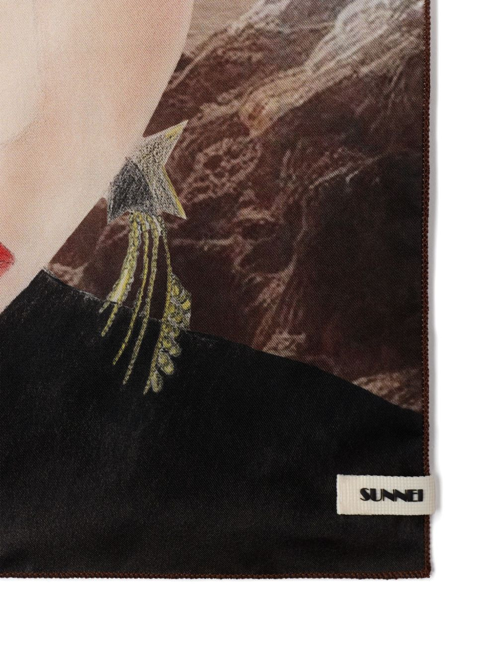 Pascal printed scarf - 2