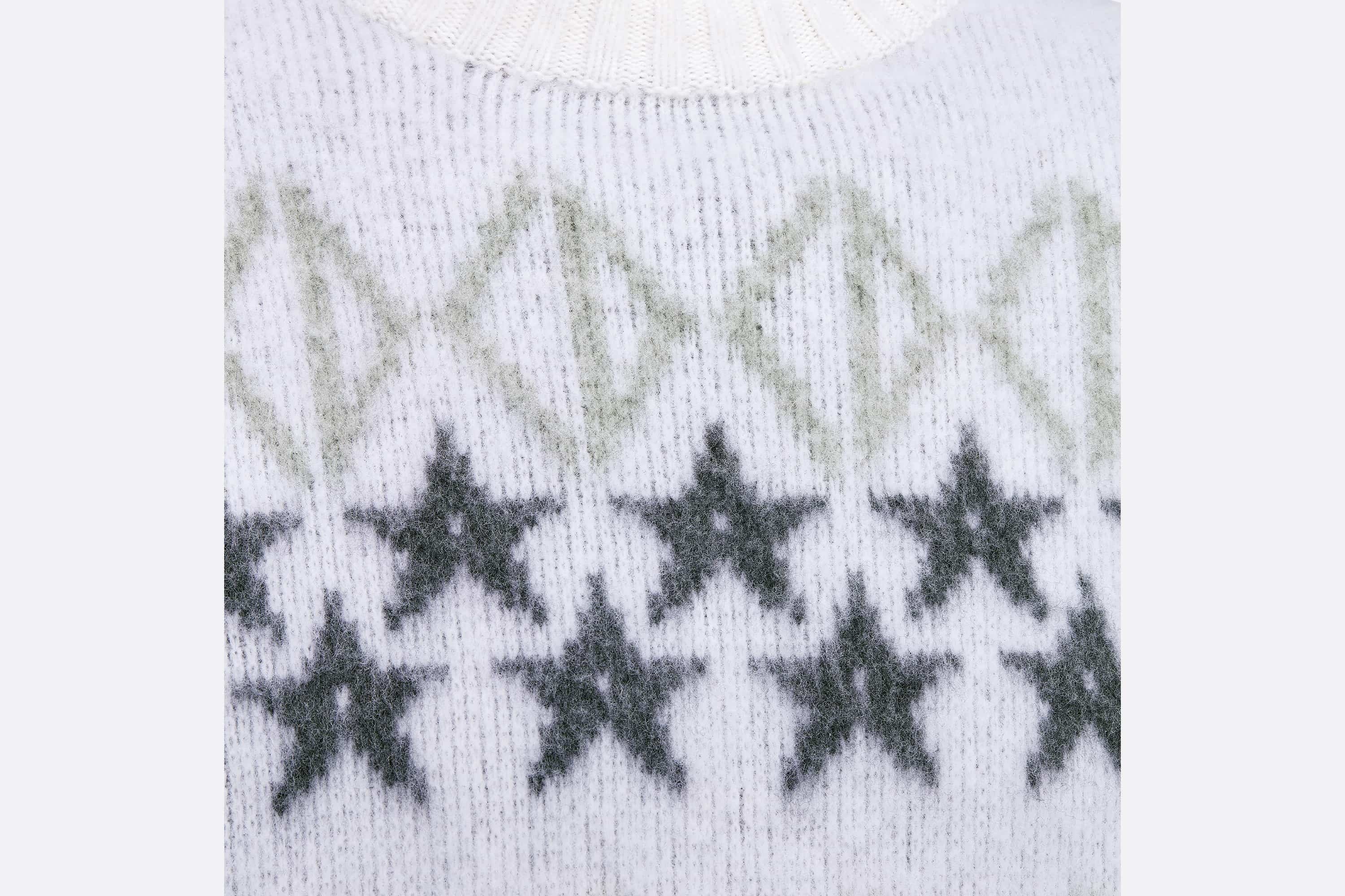 DIOR AND PETER DOIG CD Diamond Sweater - 3