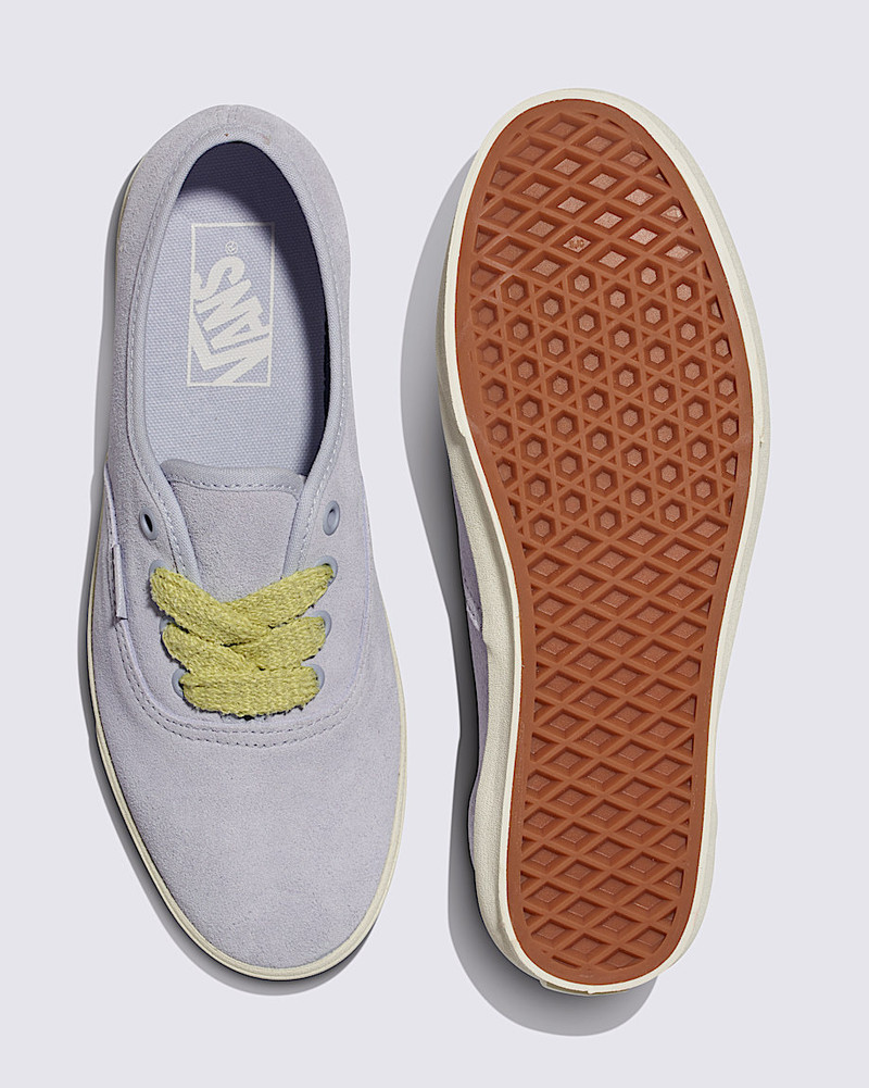 Authentic Lowpro Suede Shoe 3