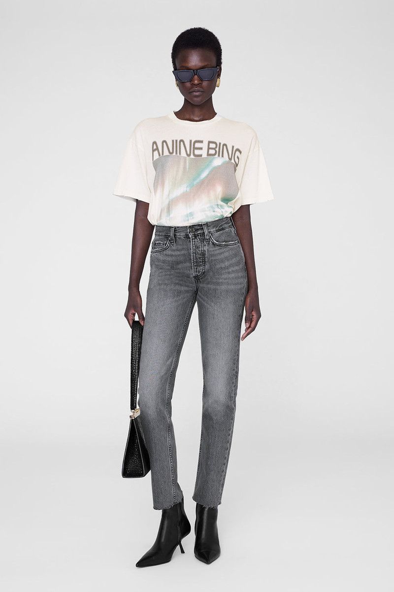 ANINE BING Cade Tee Northern Lights - Off White outlook