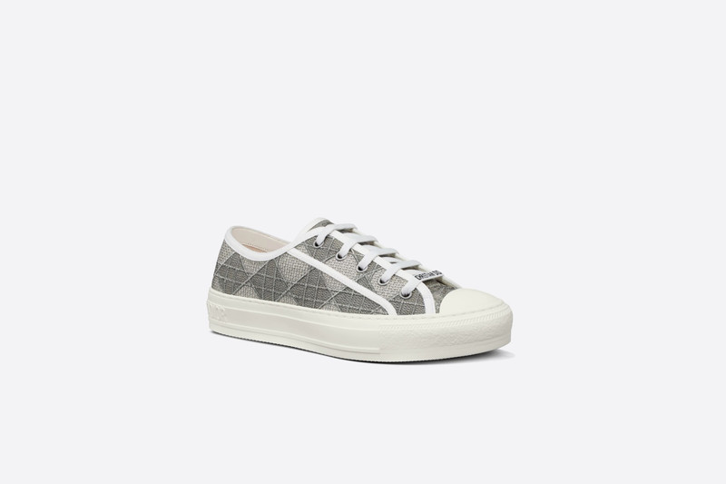 Dior Walk'n'Dior Sneaker outlook