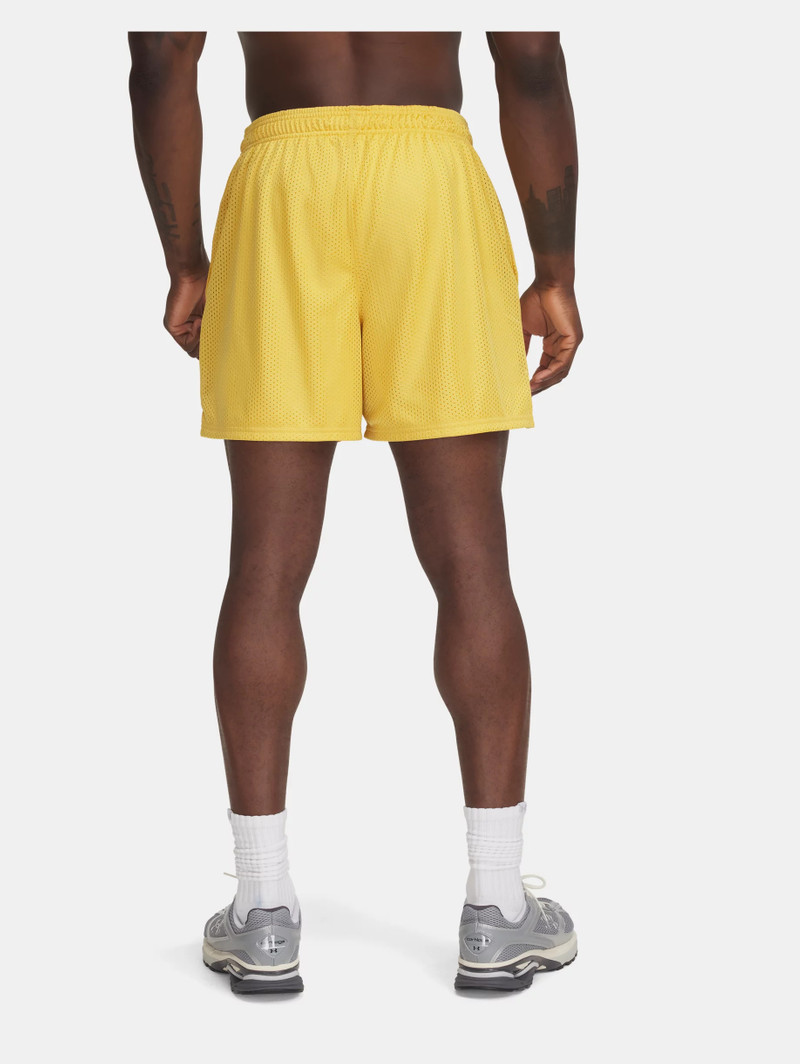 Under Armour Men's UA Icon Mesh Shorts outlook