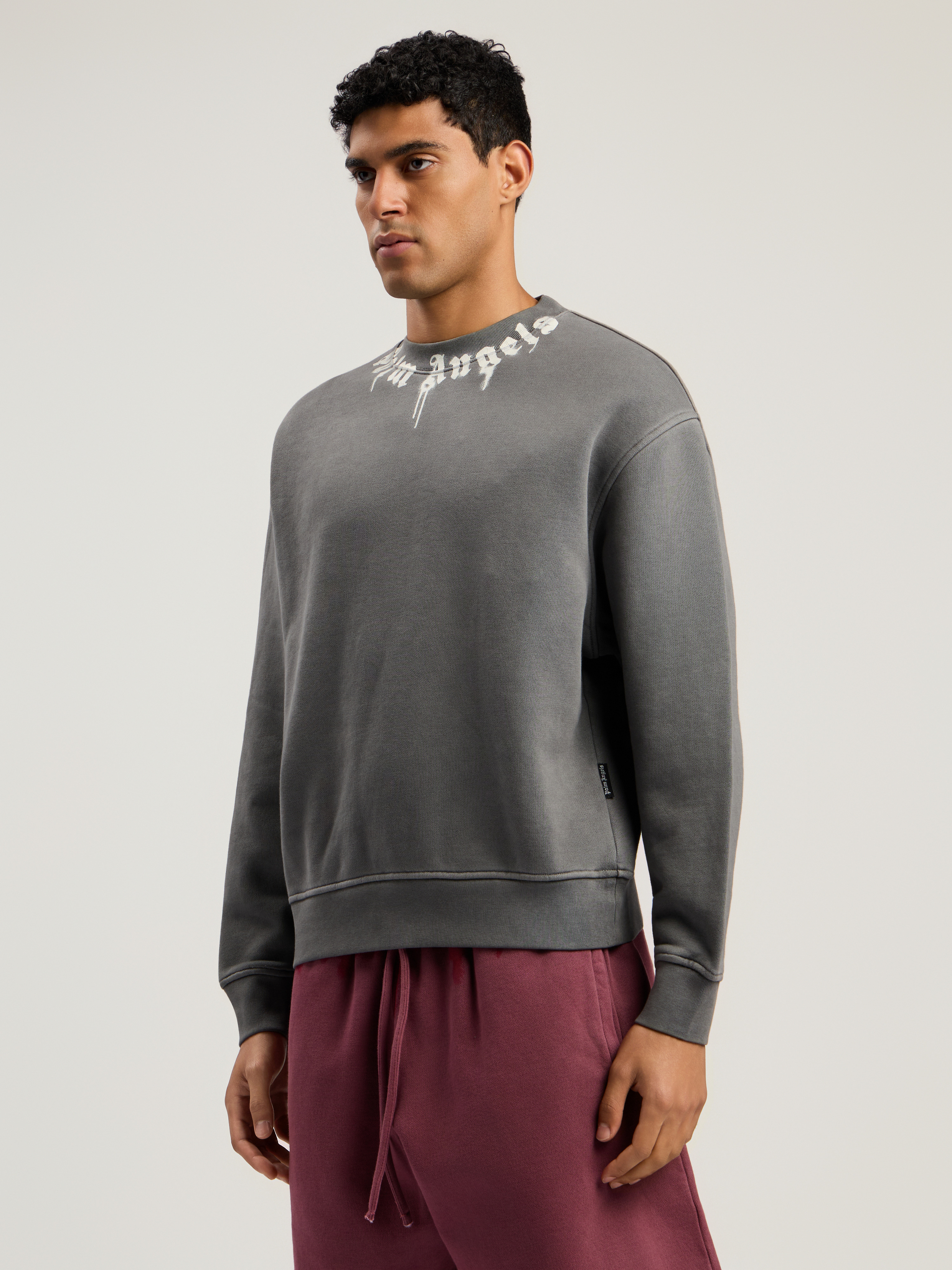 Neck Logo Regular Crewneck Sweatshirt - 4