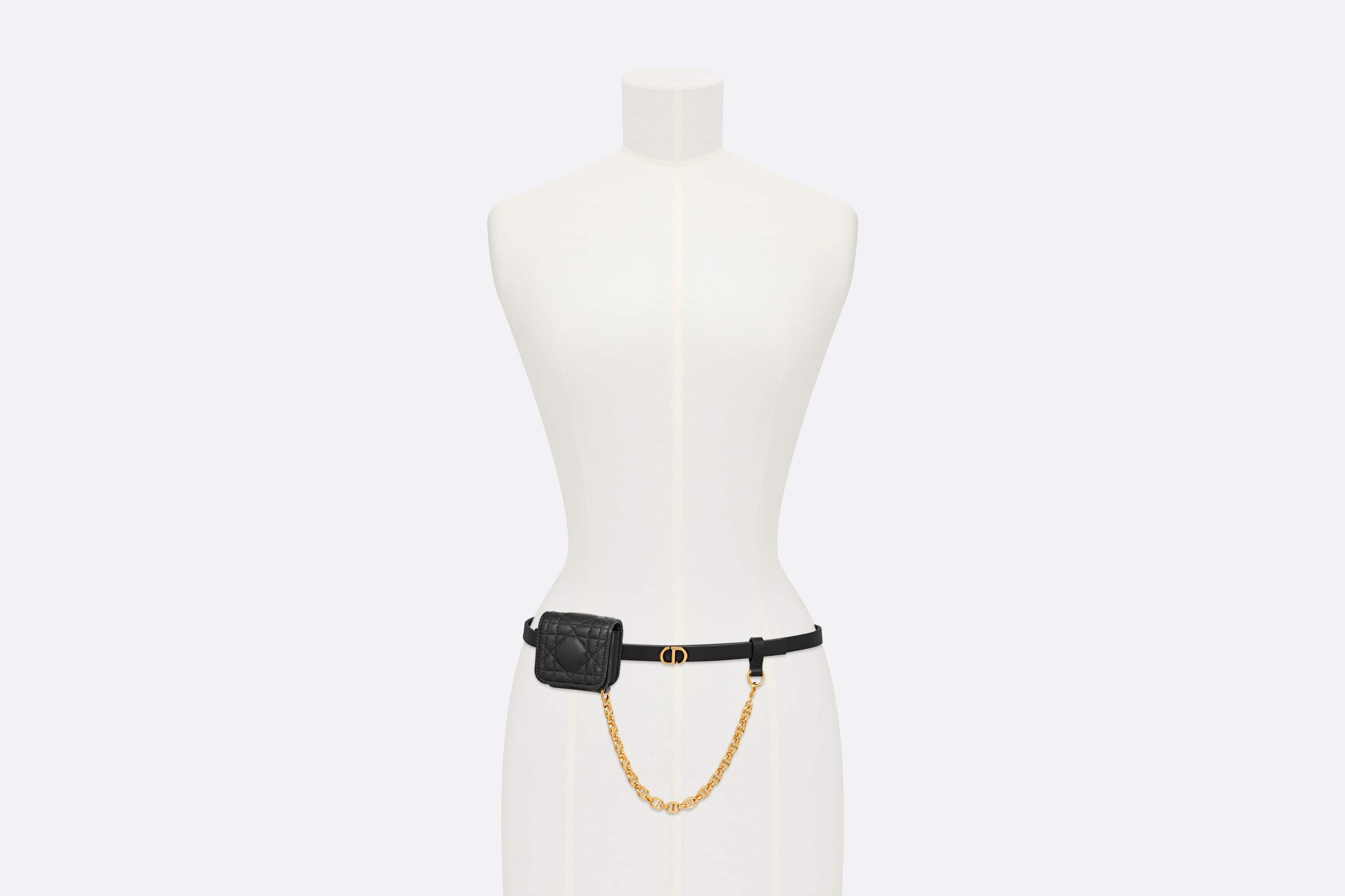 Dior Caro Belt with Removable Pouch - 6