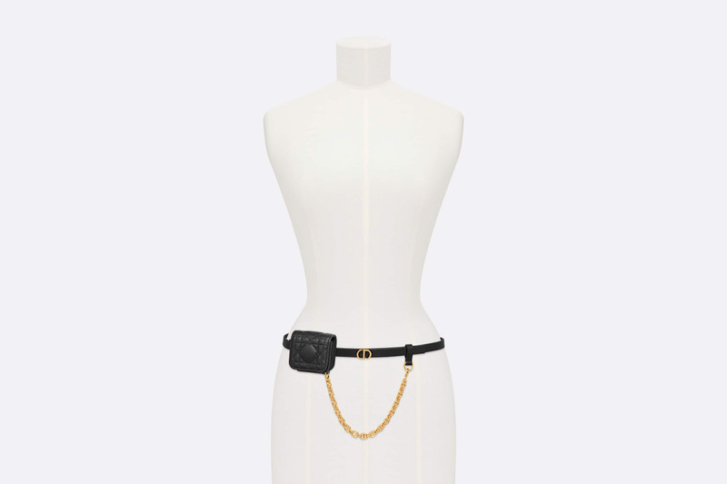 Dior Caro Belt with Removable Pouch 6