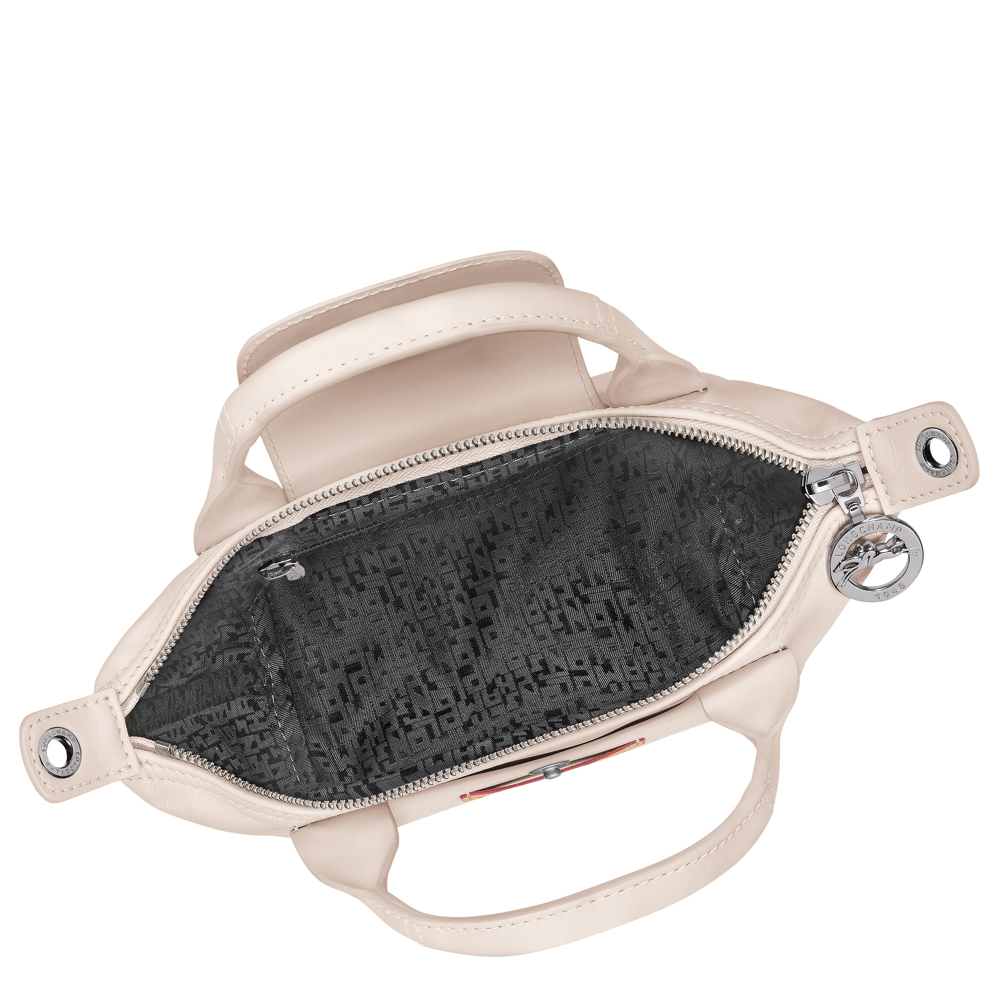 Le Pliage Xtra XS Handbag Paper - Leather - 5