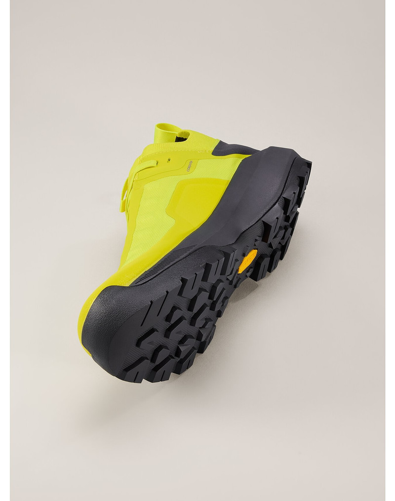 Vertex Alpine GTX Shoe 5