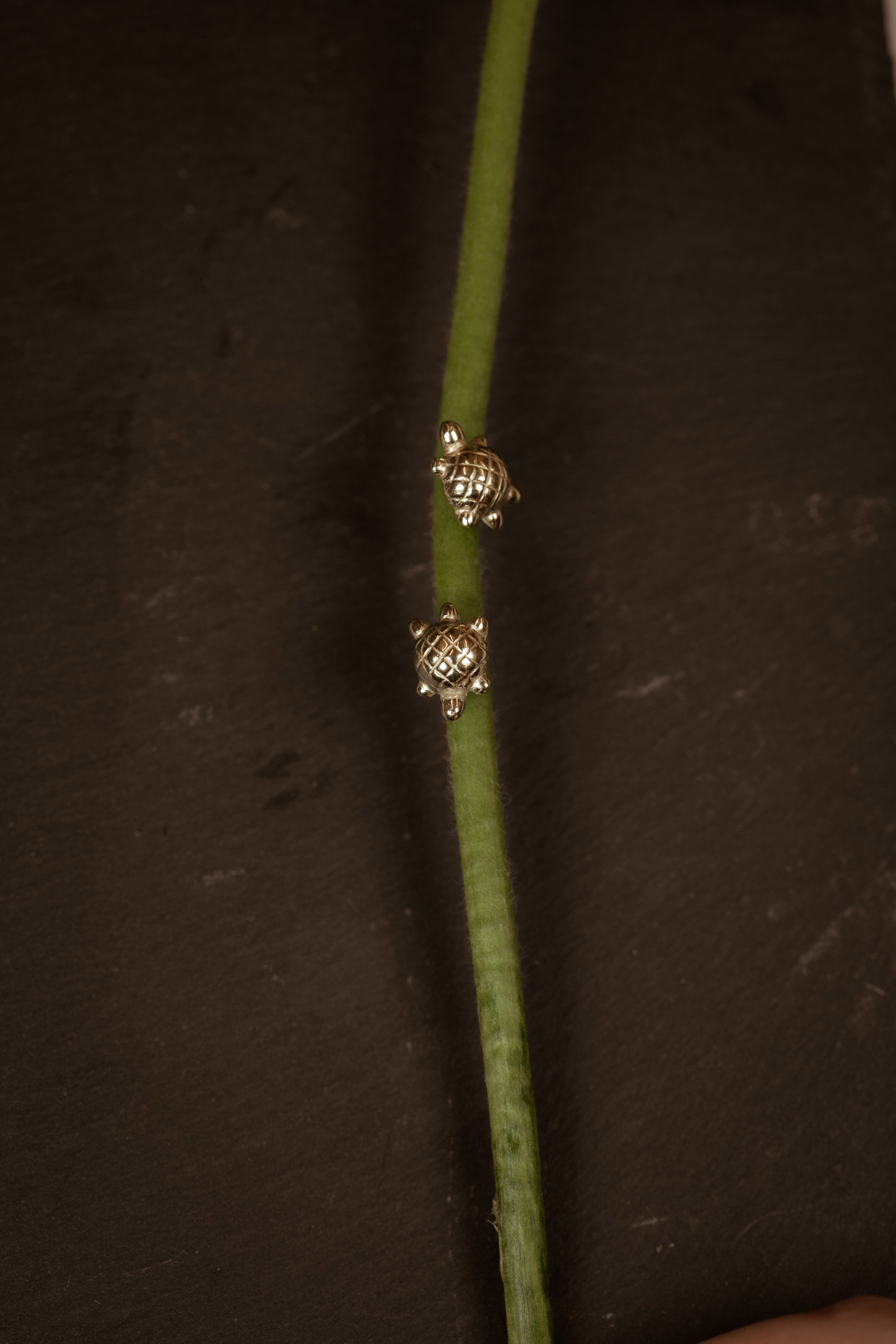 Tiny Turtle Earrings - 3