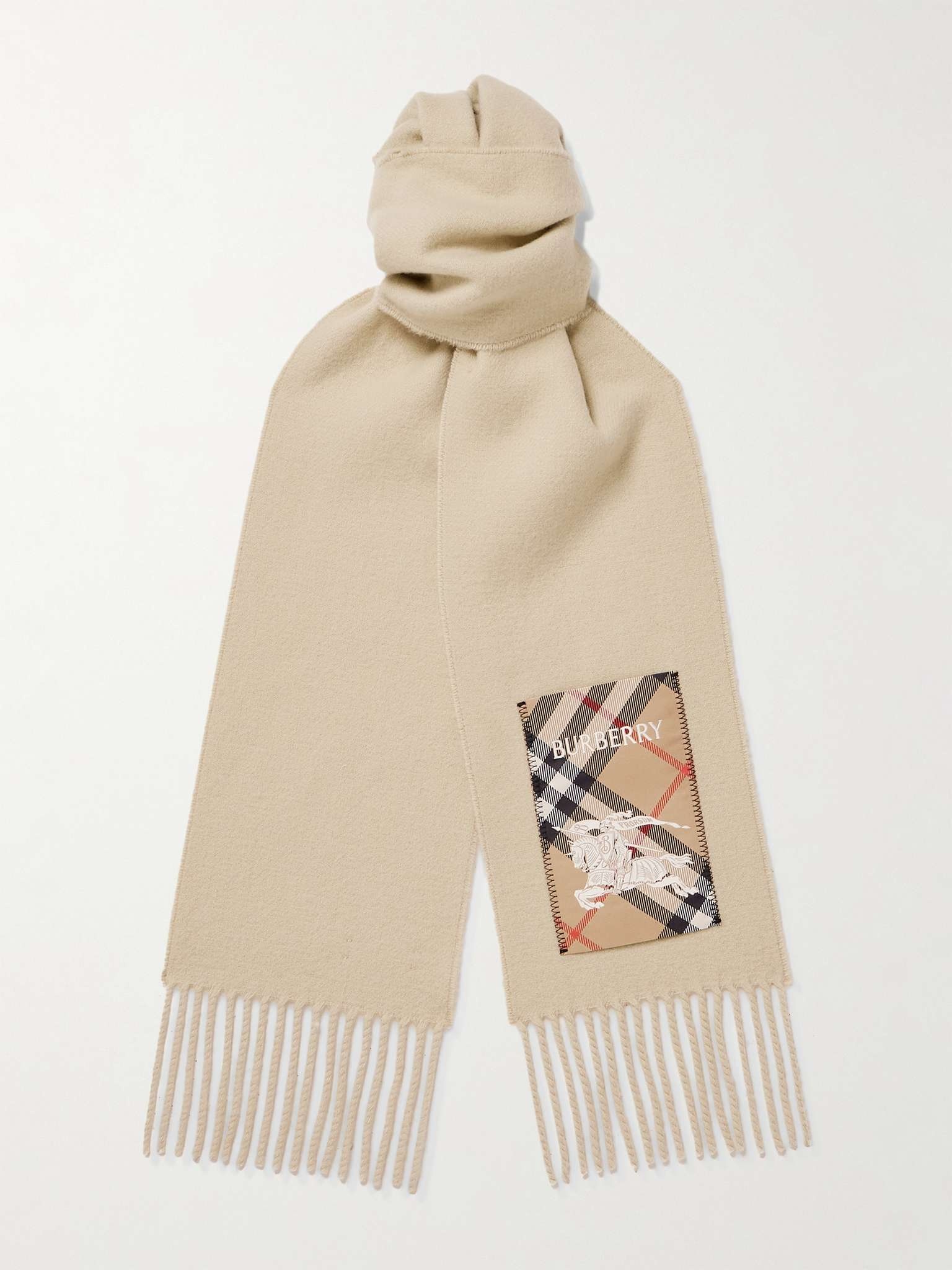 Fringed Appliquéd Cashmere Scarf - 1