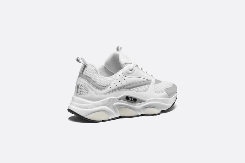Dior B22 Sneaker outlook