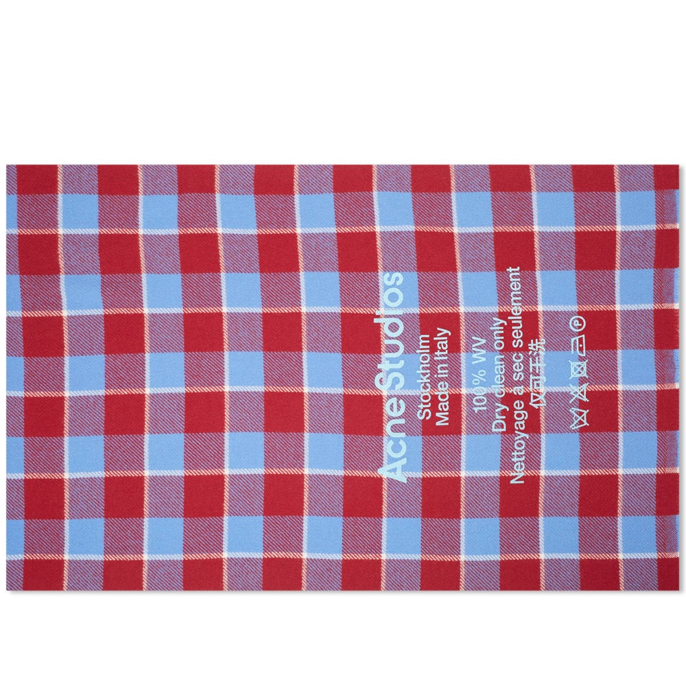 Acne Studios Cassiar Check Scarf - 1